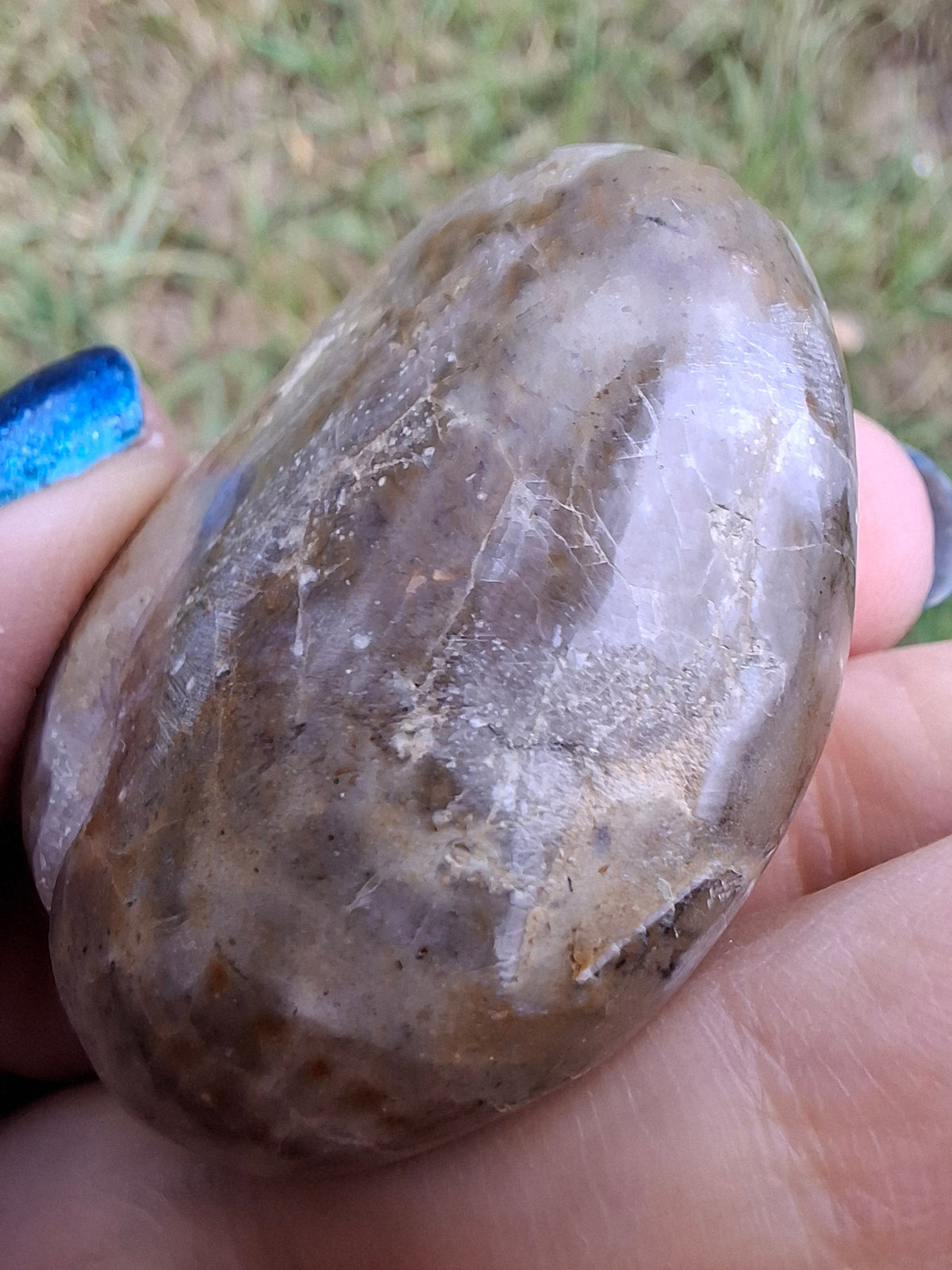 Polished Sea Urchin, Fossil (Ref: SU2)
