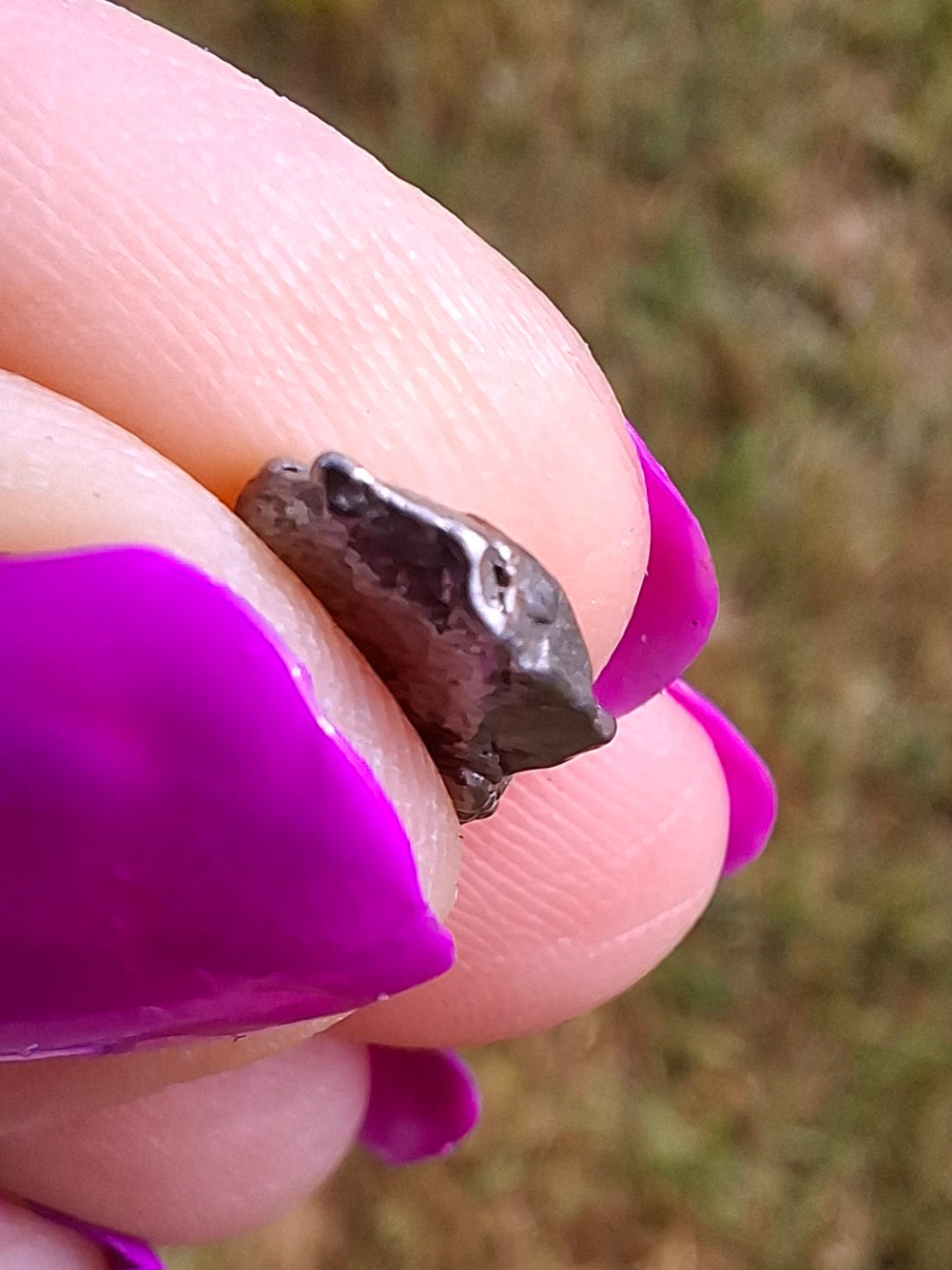 Campo del Cielo, 0.96g, Nickel Iron Meteorite (Ref: C7)
