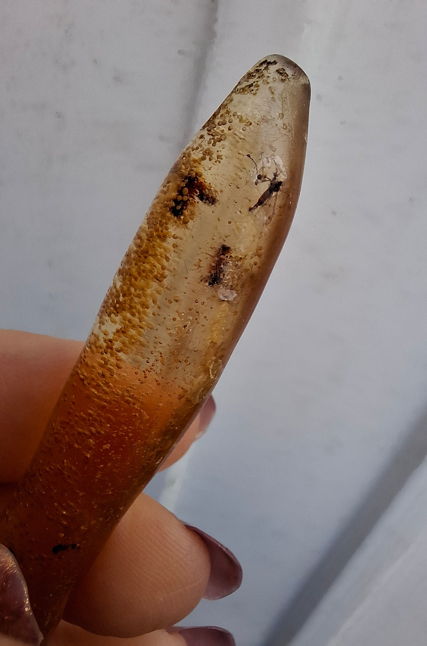 Copal Young Amber with INSECTS inside, 5.46g, Fossil (Ref: CA36)