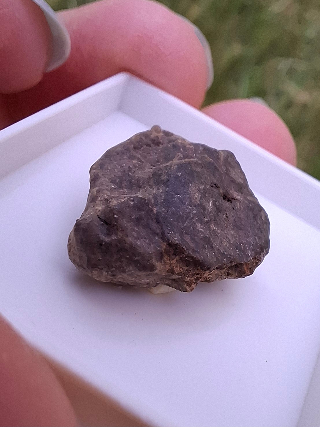 Chondrite, Meteorite (Ref: CM10)