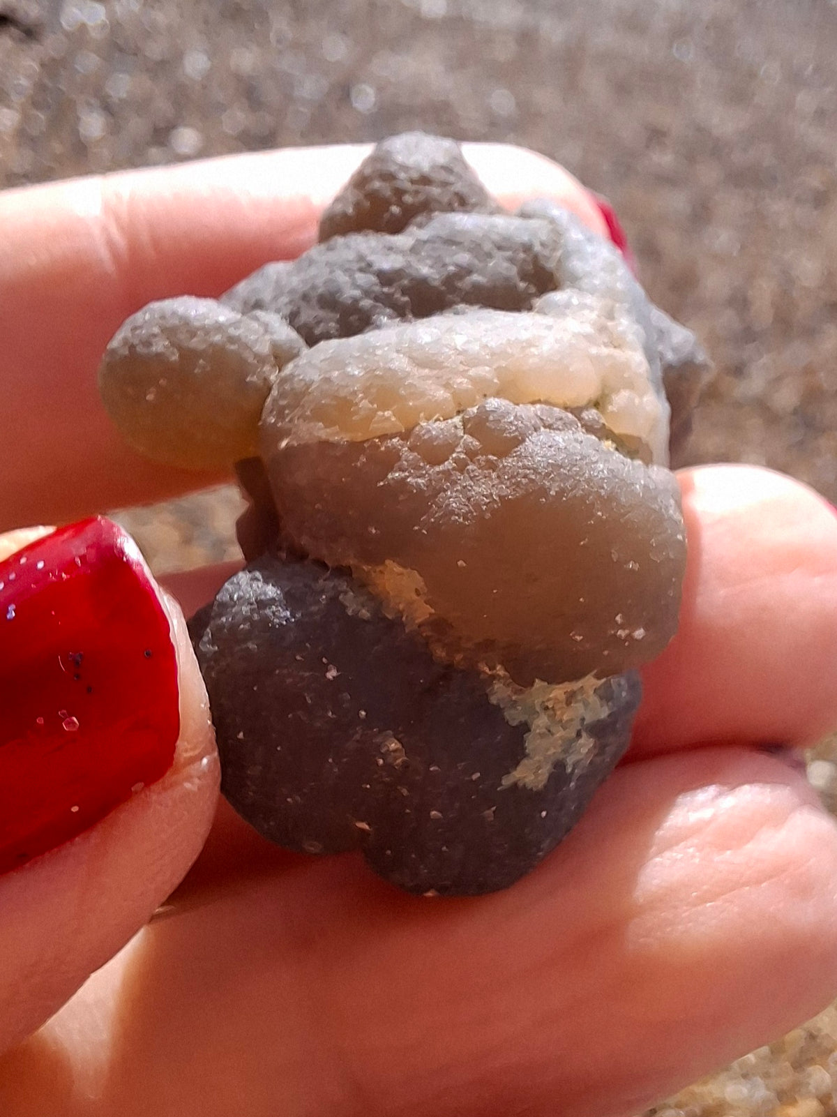 Nebula Chalcedony, 16.91g, Fossil (Ref: NC1)