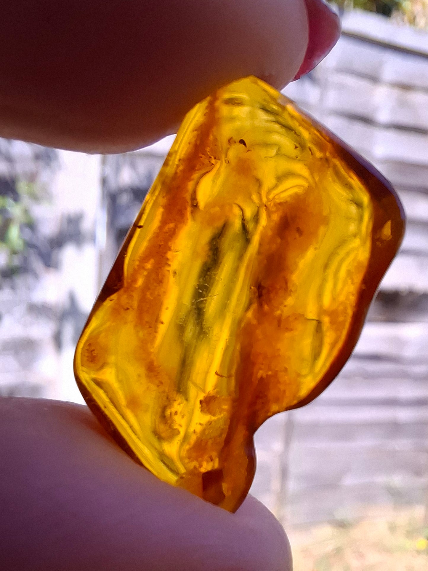 Baltic Amber, 1.40g, Fossil (Ref: A187)
