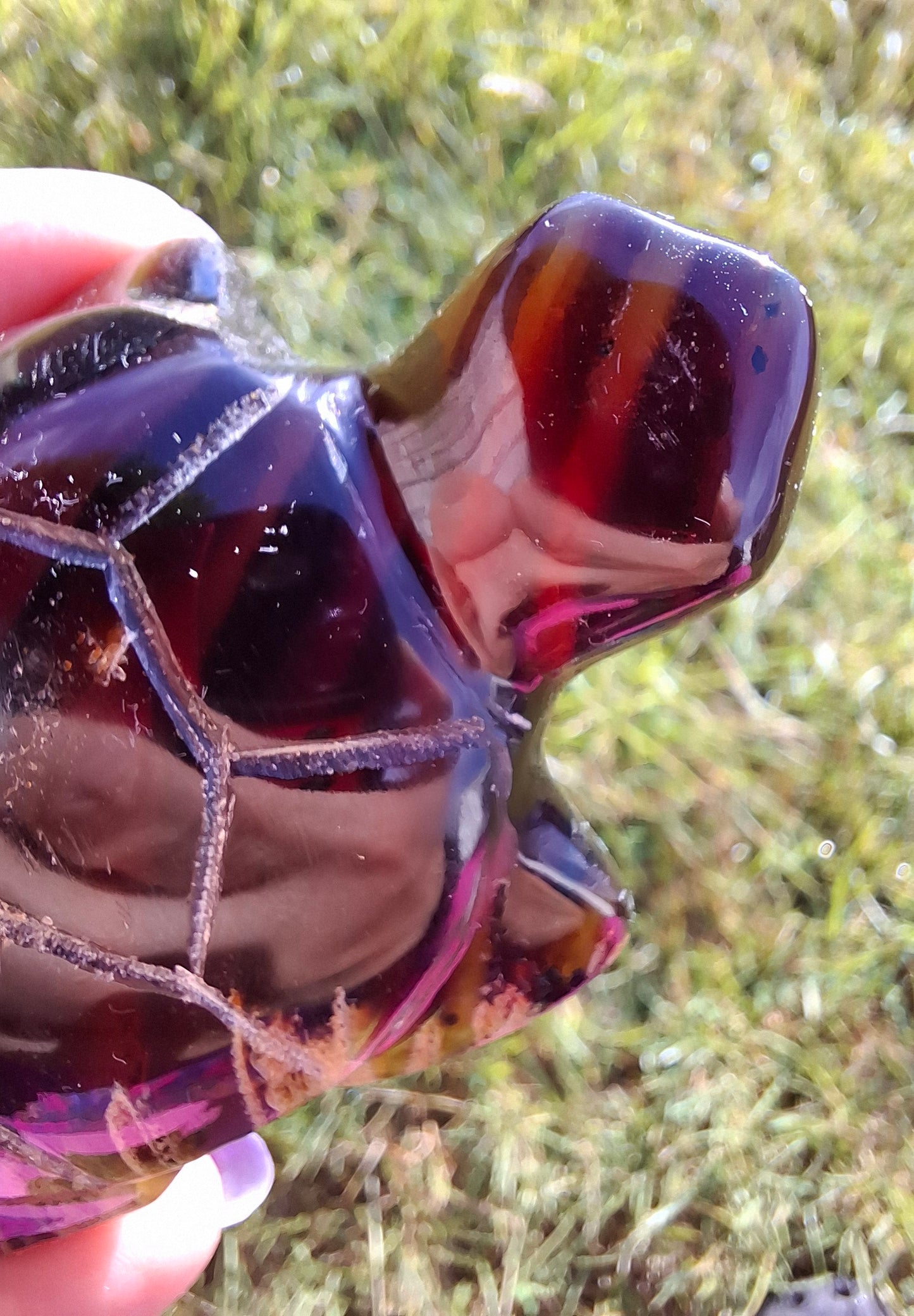 Red Amber Turtle, 47.85g, Carving, Fossil (Ref: TT4)