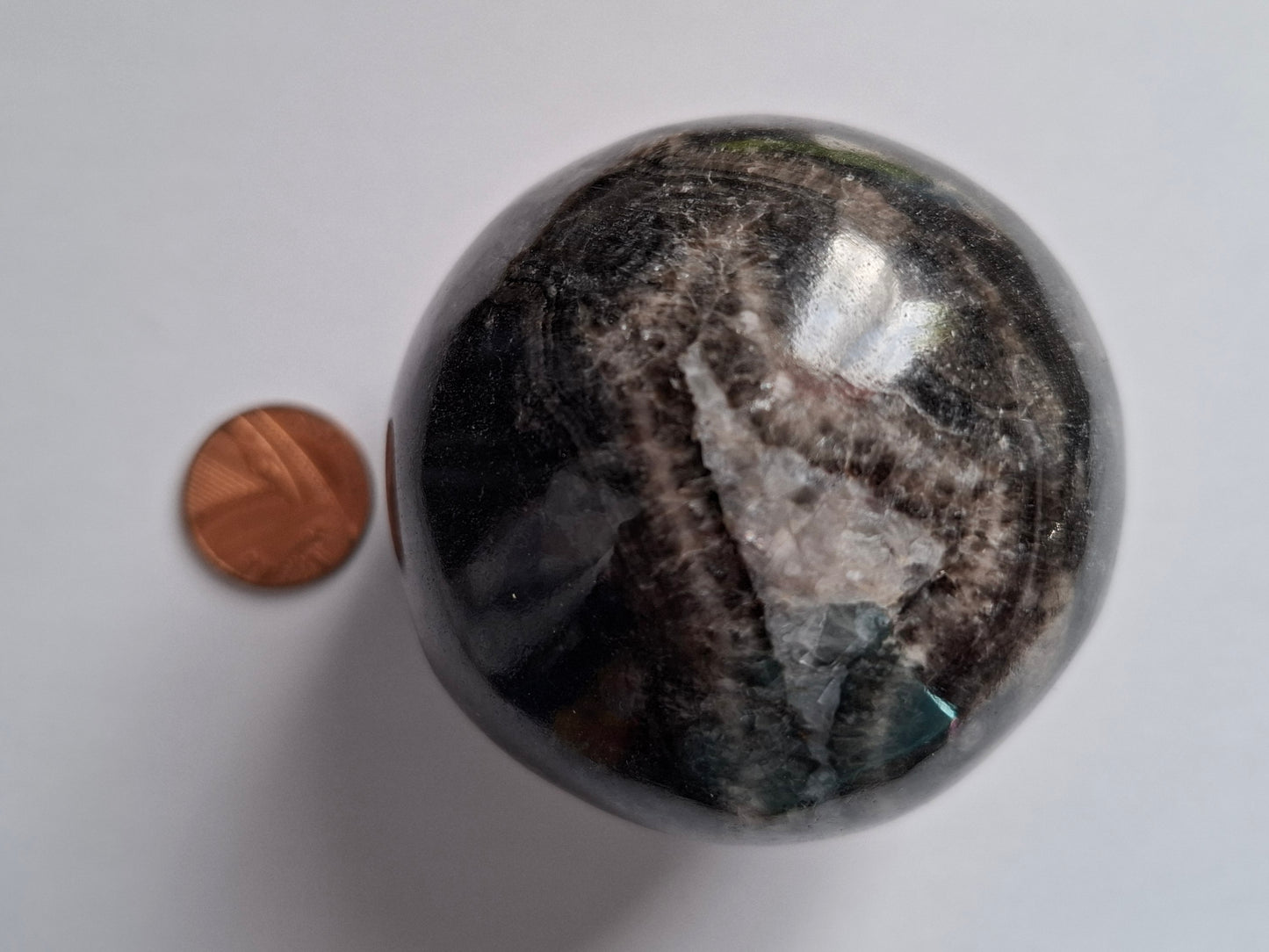 Orthoceras Sphere, Fossil (Ref: OS3)