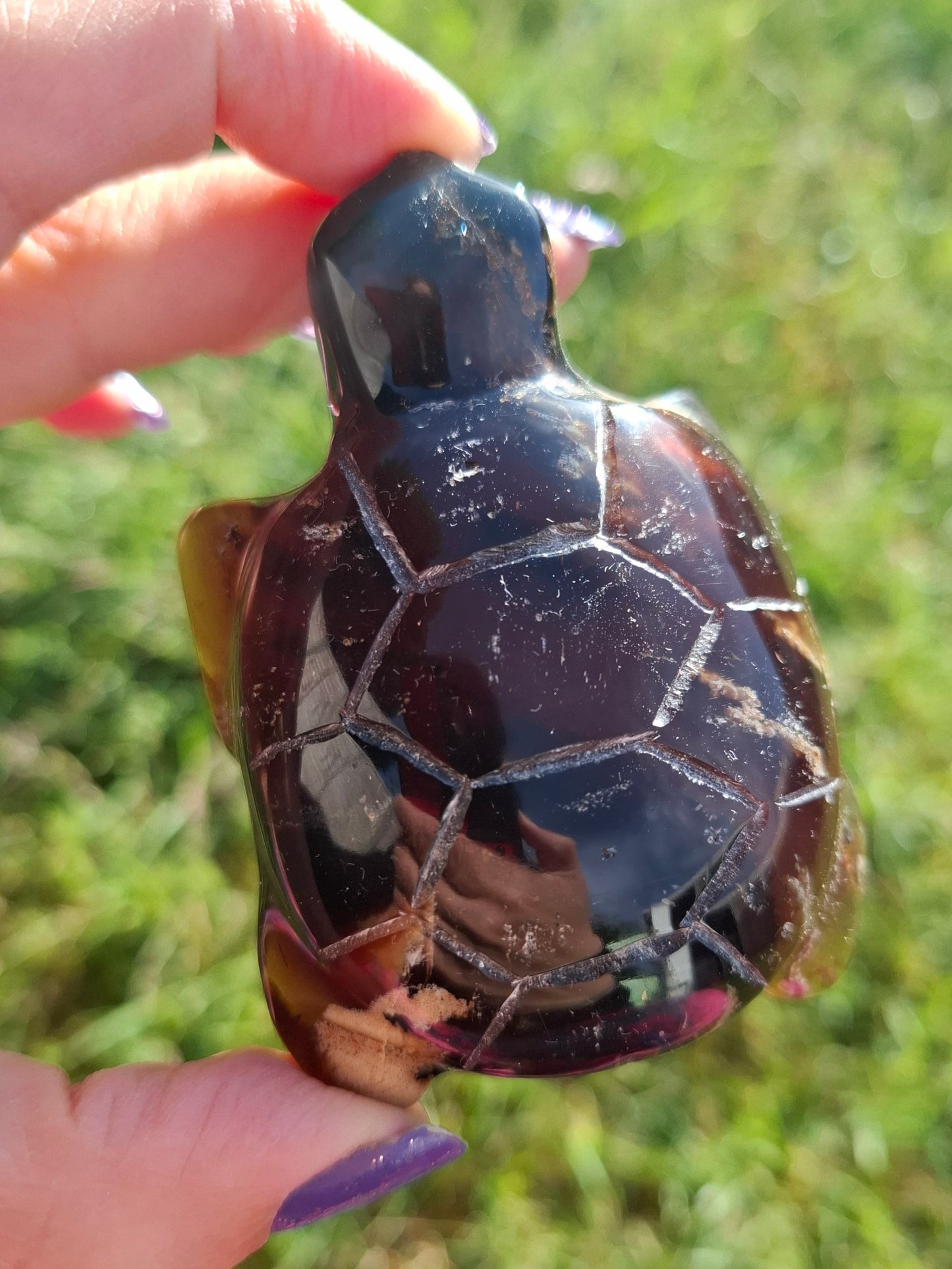 Red Amber Turtle, 56.87g, Carving, Fossil (Ref: TT2)
