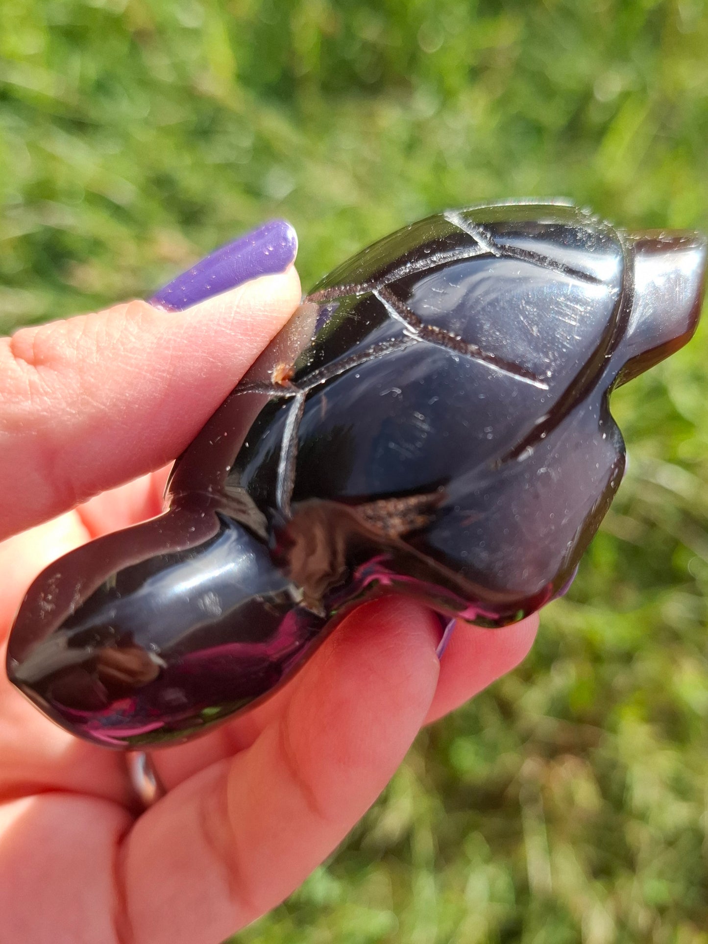 Red Amber Turtle, 47.85g, Carving, Fossil (Ref: TT4)