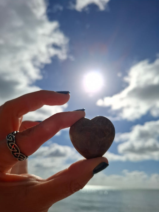 Fossil Coral Heart, (Ref:CoH1)