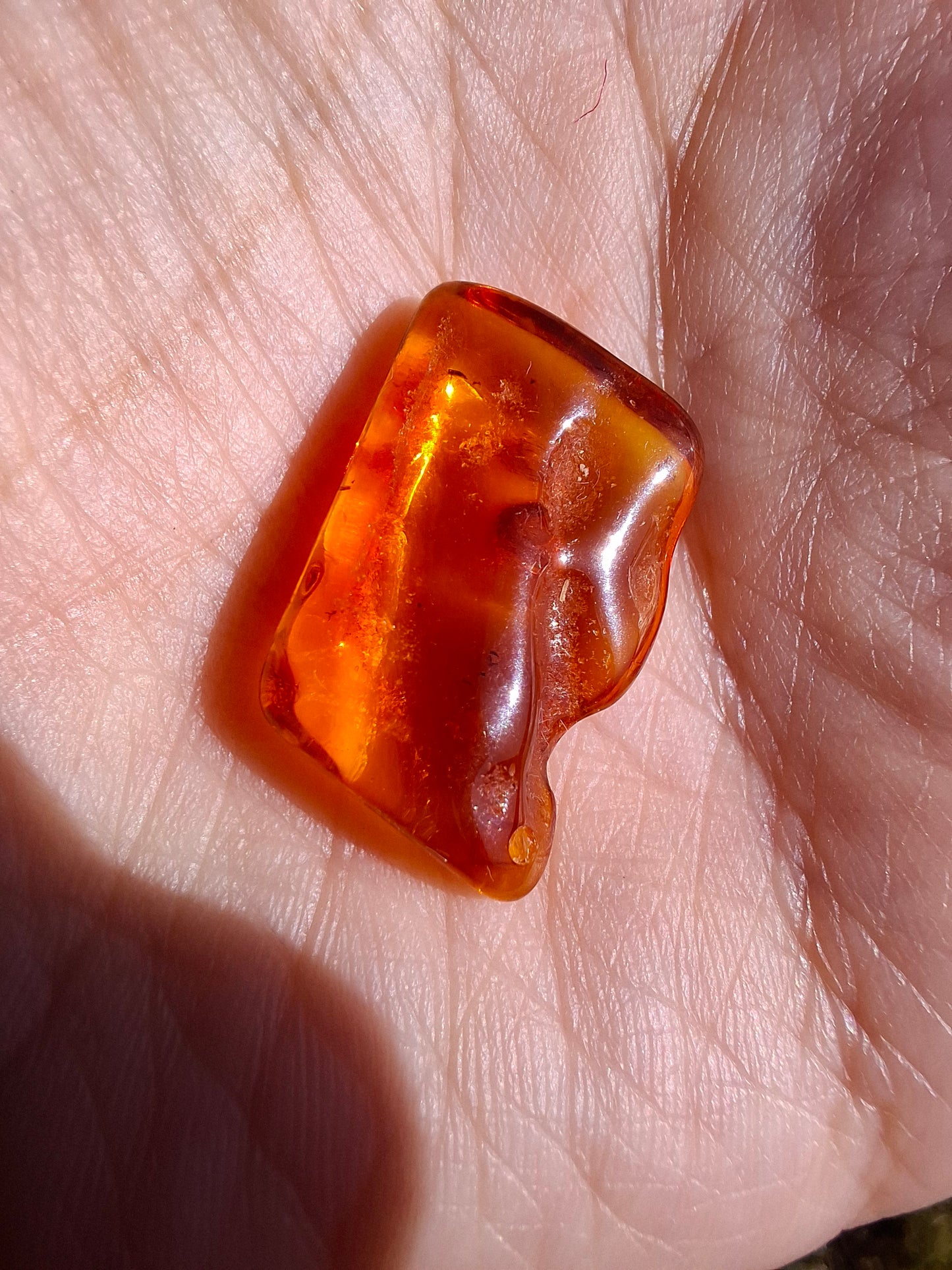 Baltic Amber, 1.40g, Fossil (Ref: A187)