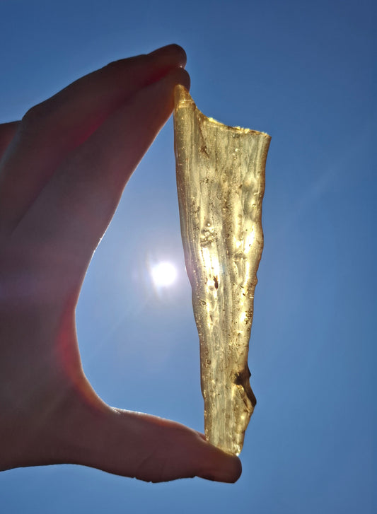 Copal Young Amber with INSECTS inside, 18.29g, Fossil (Ref: CA33)