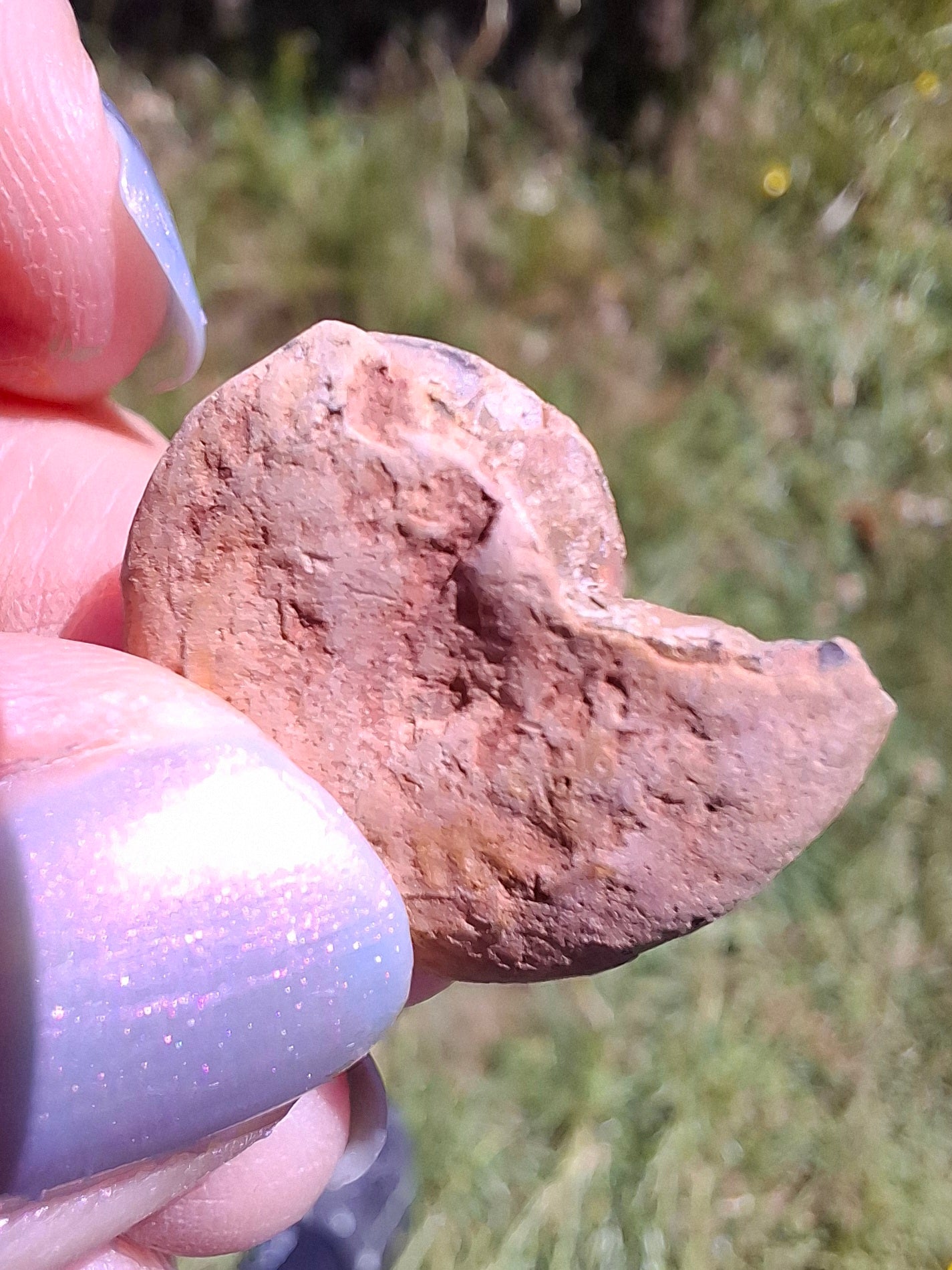 Small Haematite Ammonite HALF, 2.19g, Fossil (Ref: MA3)