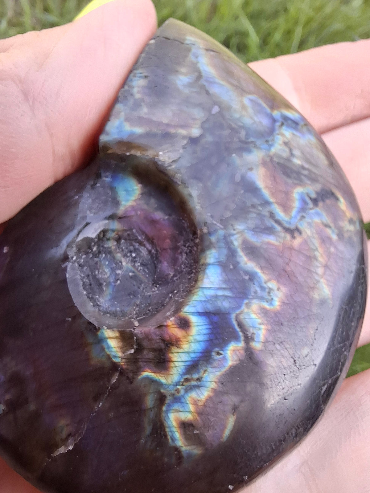 Labradorite Ammonite Carving, 89.31g, Crystal (Ref: laba6)