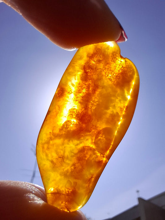 Baltic Amber, 2.87g, Fossil (Ref: A152)