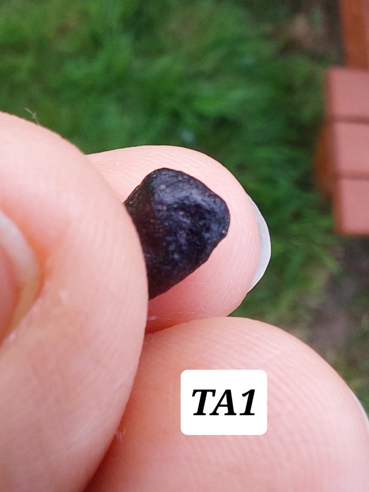 Atacamite, 0.43g, Tektite (Ref: TA1)