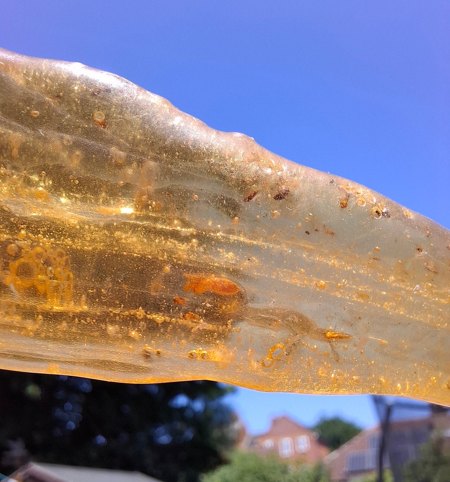 Copal Young Amber with INSECTS inside, 18.29g, Fossil (Ref: CA33)