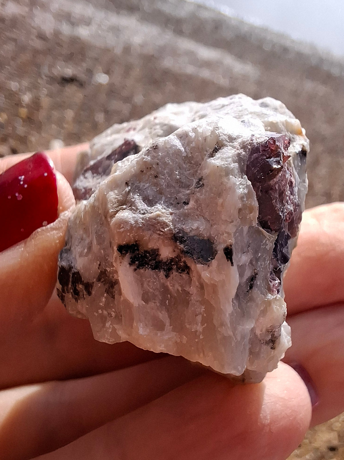 (Dig your own) Garnet in Matrix, Crystal (Ref: RG5)
