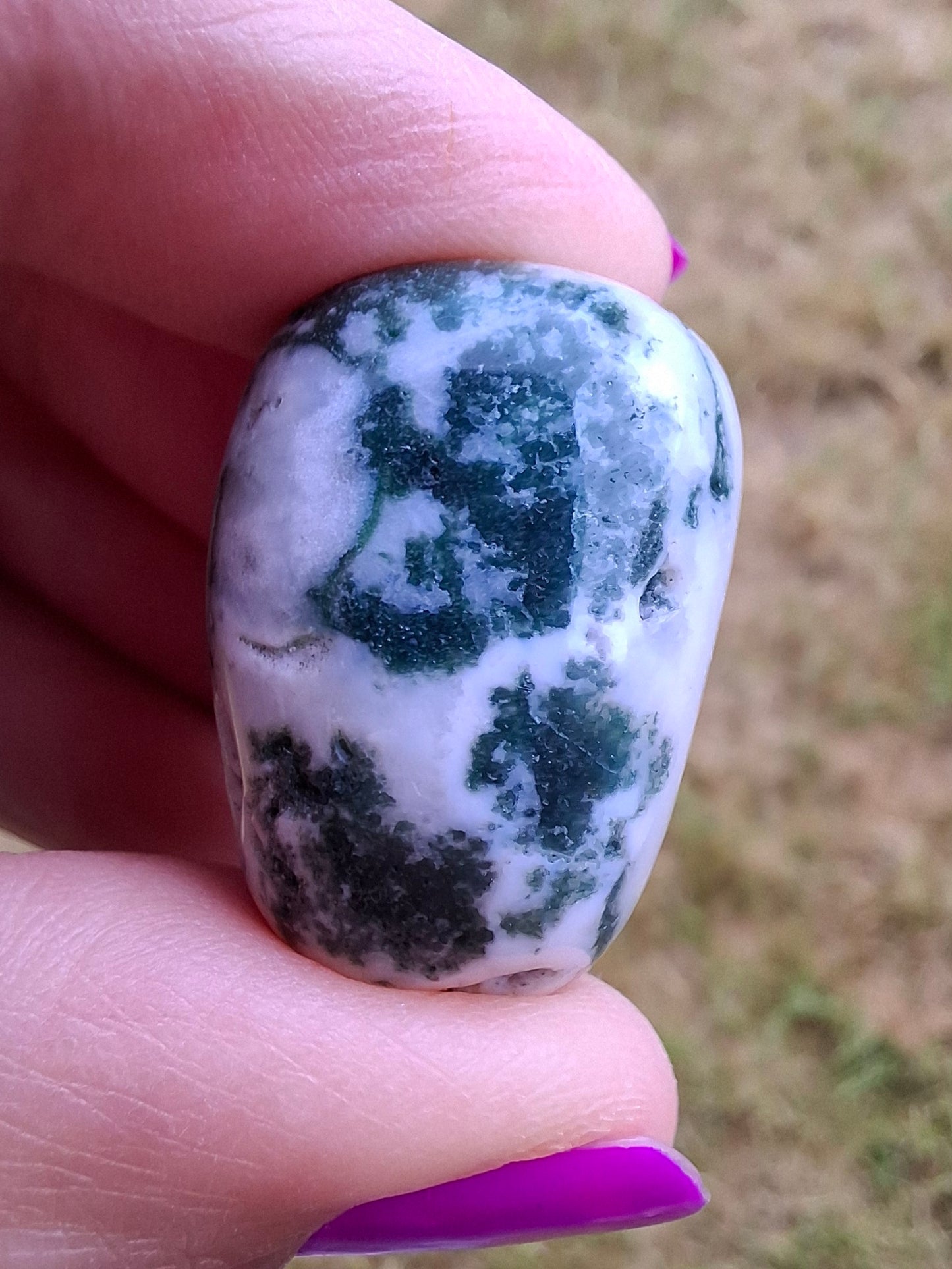 Tree Agate, Tumble Stone, Crystal (Ref: T5)