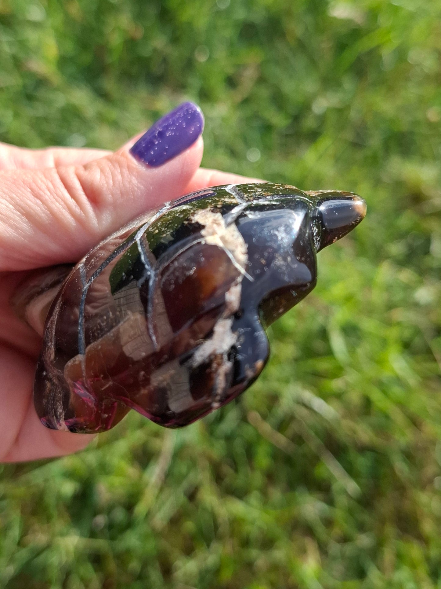 Red Amber Turtle, 50.00g, Carving, Fossil (Ref: TT6)