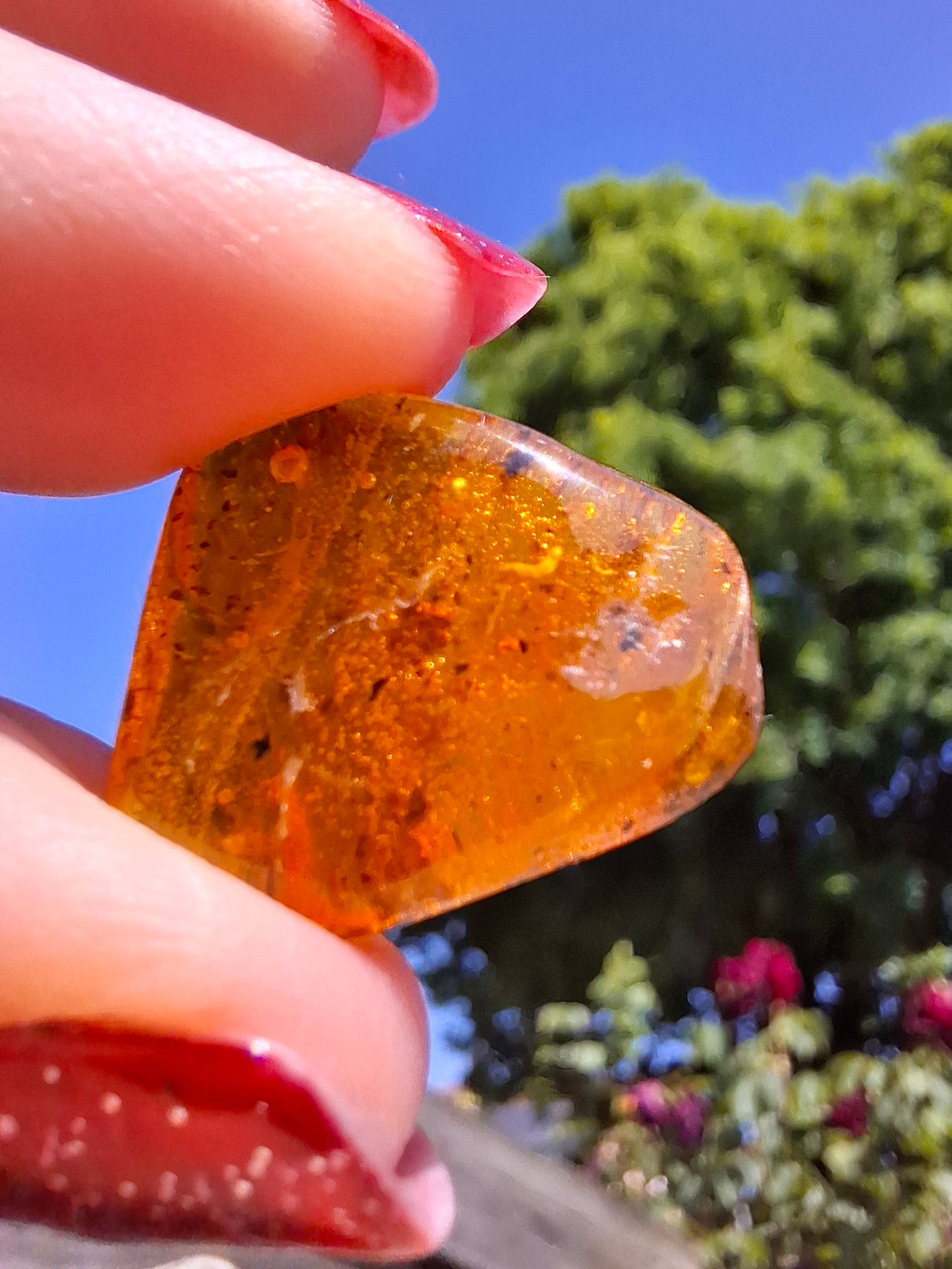 Baltic Amber, 1.59g, Fossil (Ref: A244)