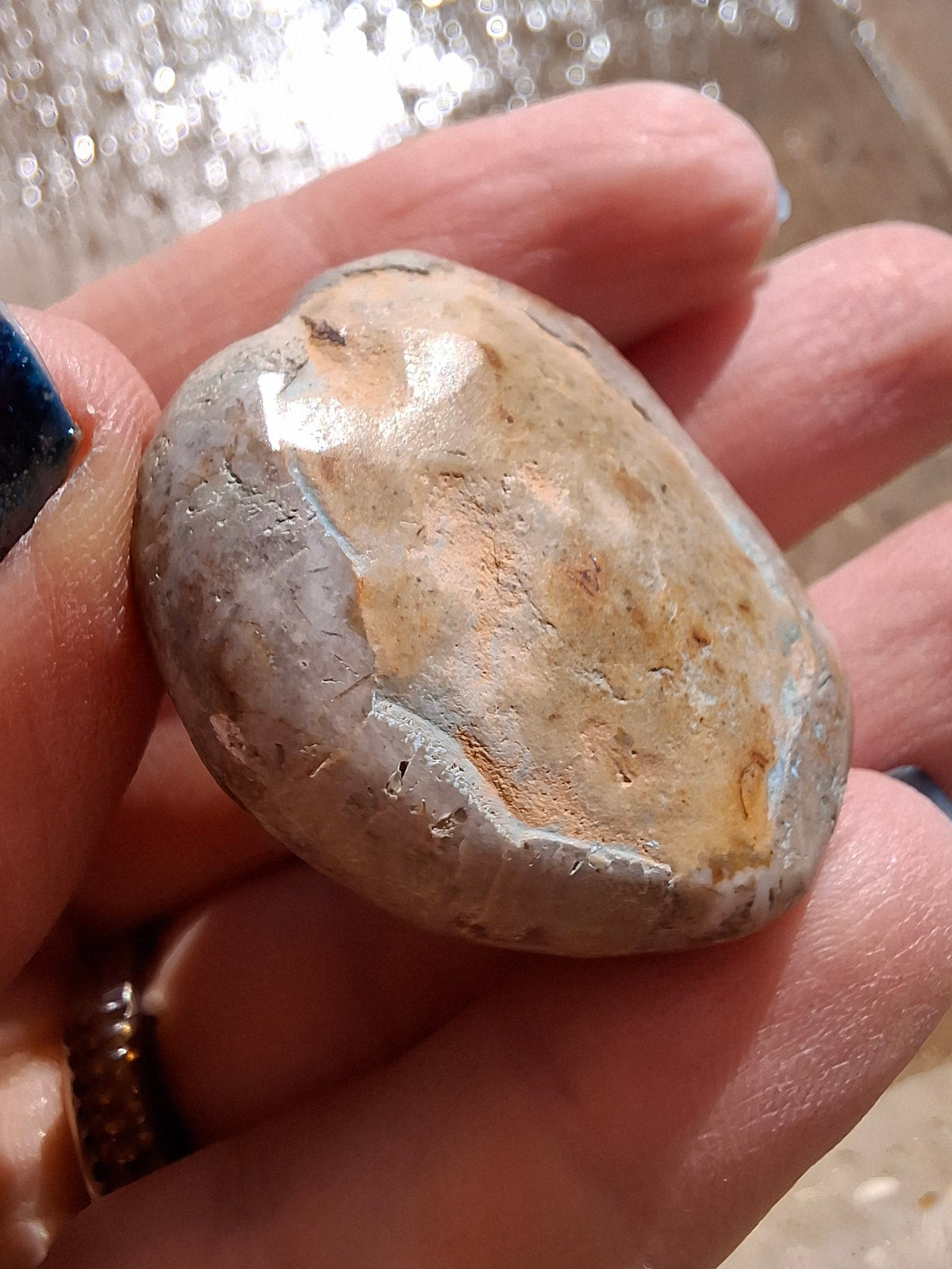 Polished Sea Urchin, Fossil (Ref: SU1)