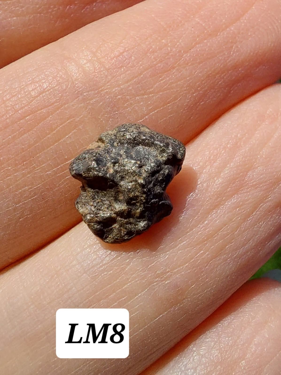 Lunar Meteorite, 0.55g, 'Moon Rock' (Ref: LM8)