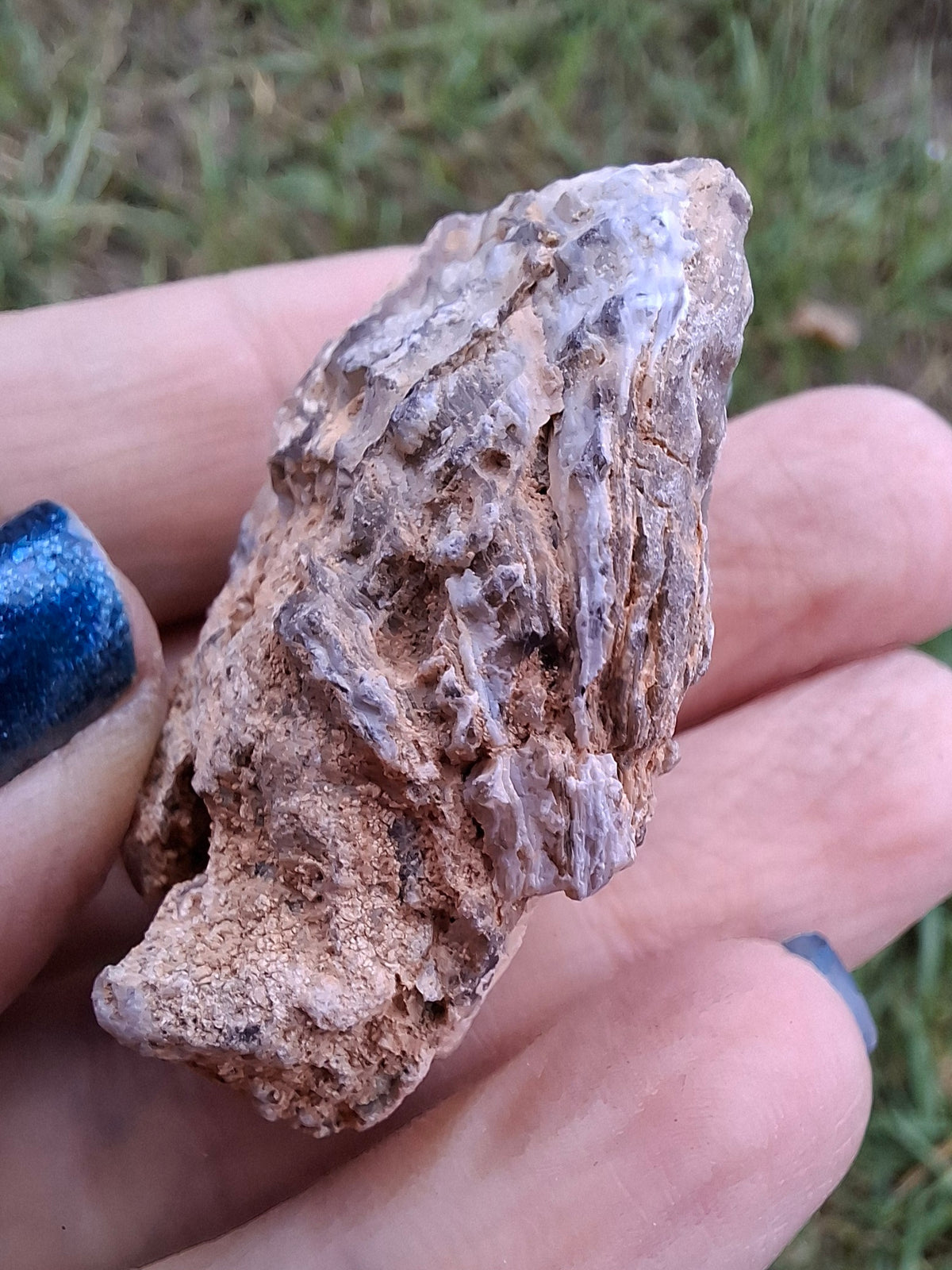 Chalcedony Oyster, Fossil (Ref: FO6)