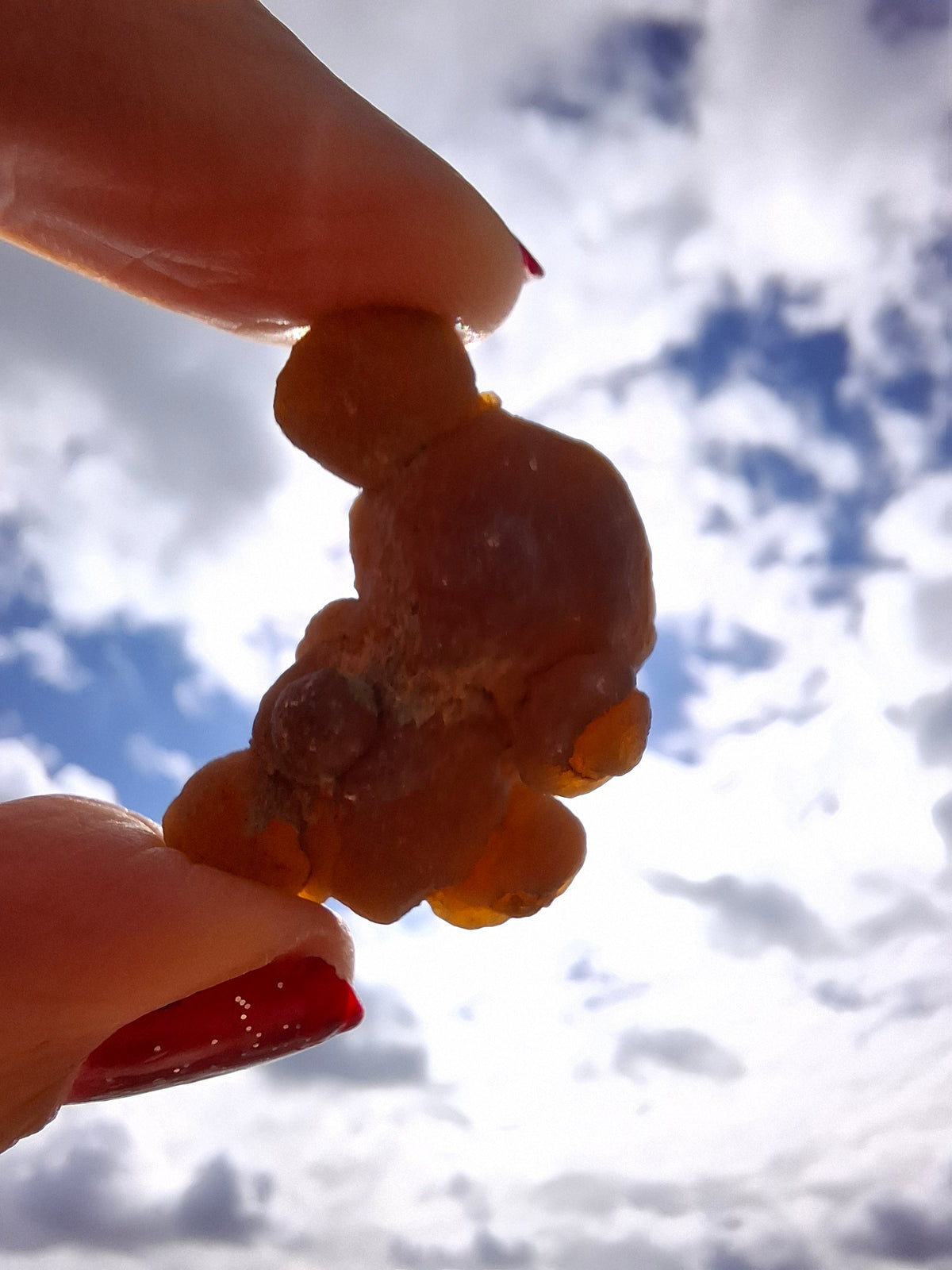 Nebula Chalcedony, 13.55g, Fossil (Ref: NC8)