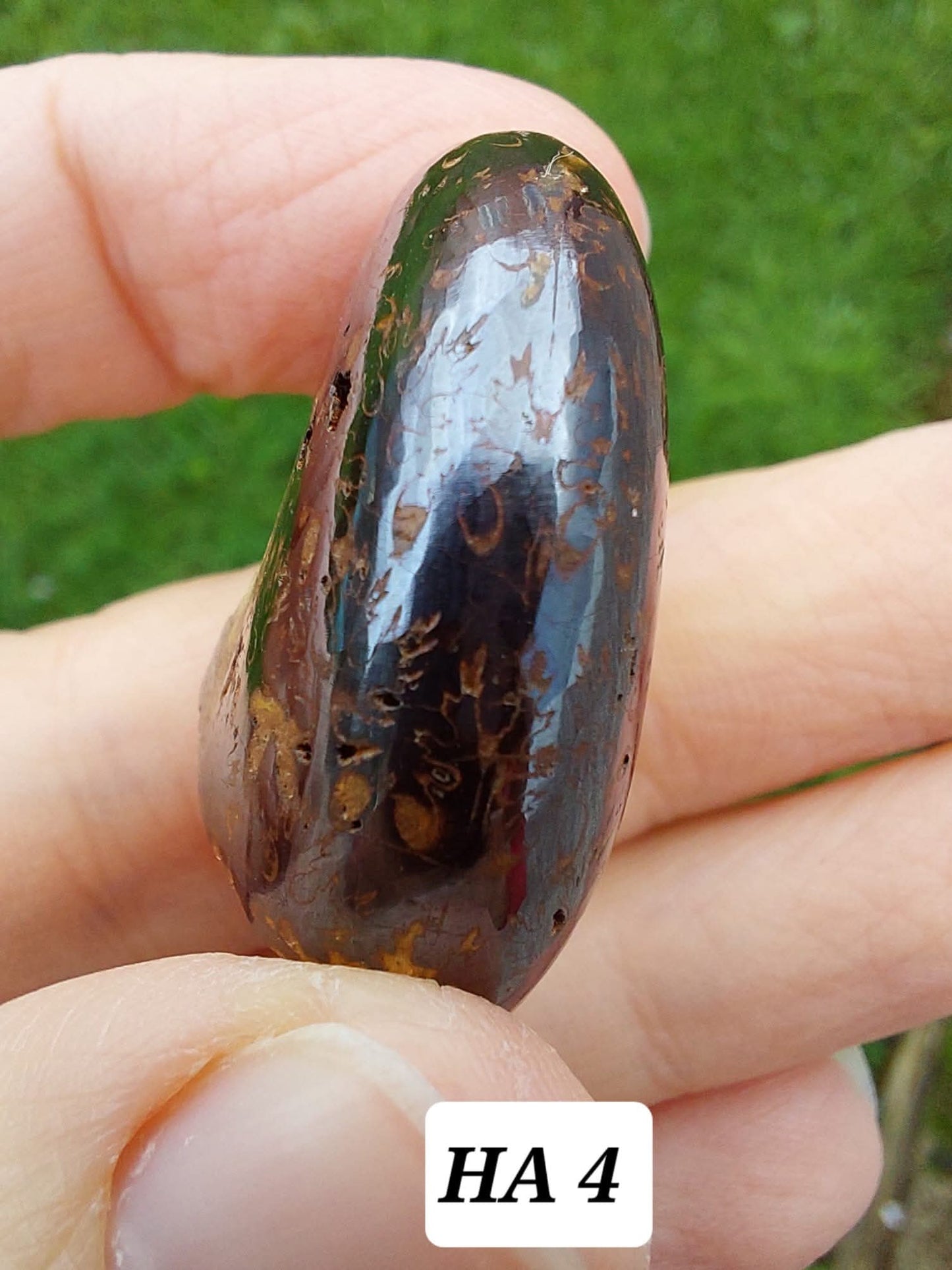 Hematite Ammonite, 18.26g, Fossil (Ref: HA4)