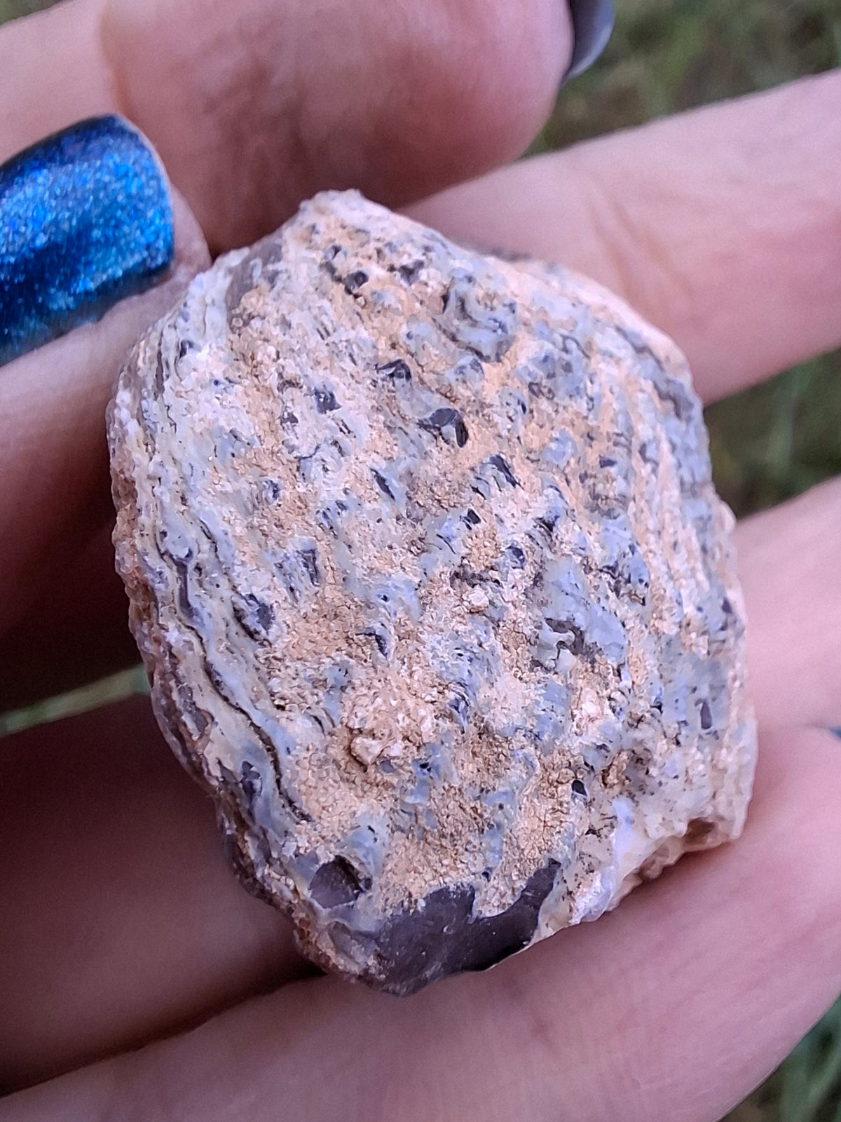 Chalcedony Oyster, Fossil (Ref: FO5)
