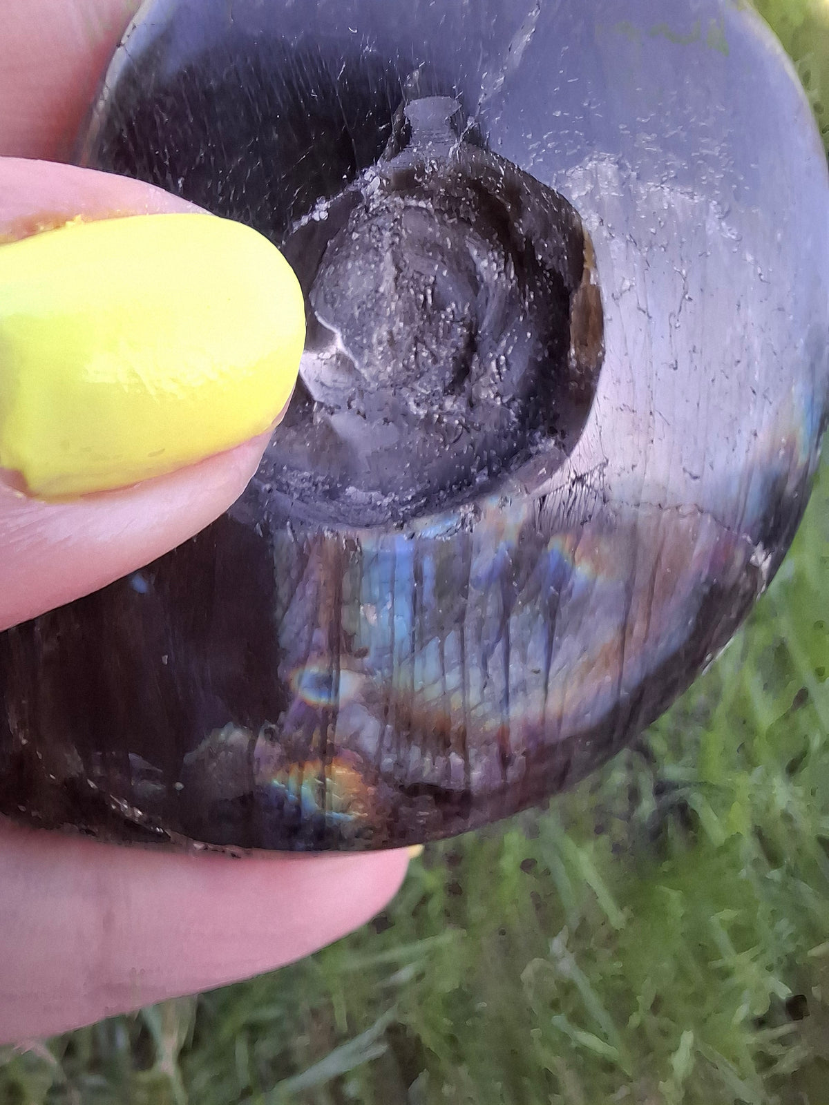 Labradorite Ammonite Carving, 89.31g, Crystal (Ref: laba6)