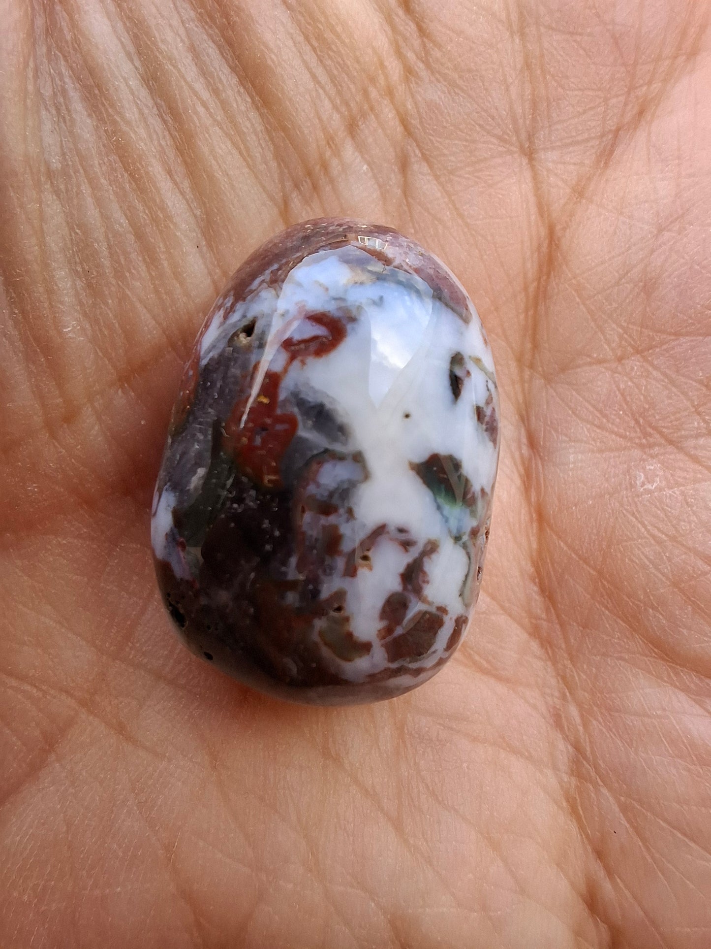 Ocean Jasper, Tumble Stone, Crystal (Ref: T198)