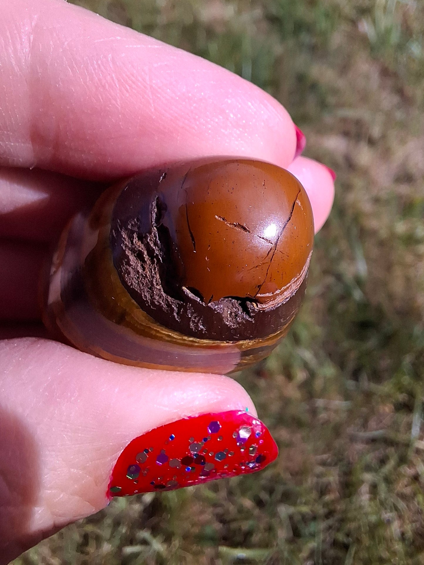 Tigers Eye, Tumble Stone, Crystal (Ref: T133)