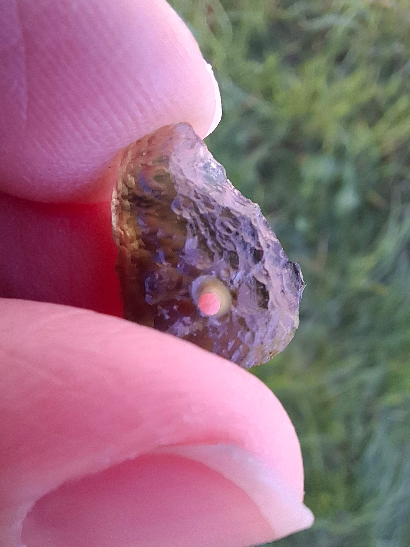 DRILLED, Moldavite Piece, 1.07g, Tektite (Ref: D30)