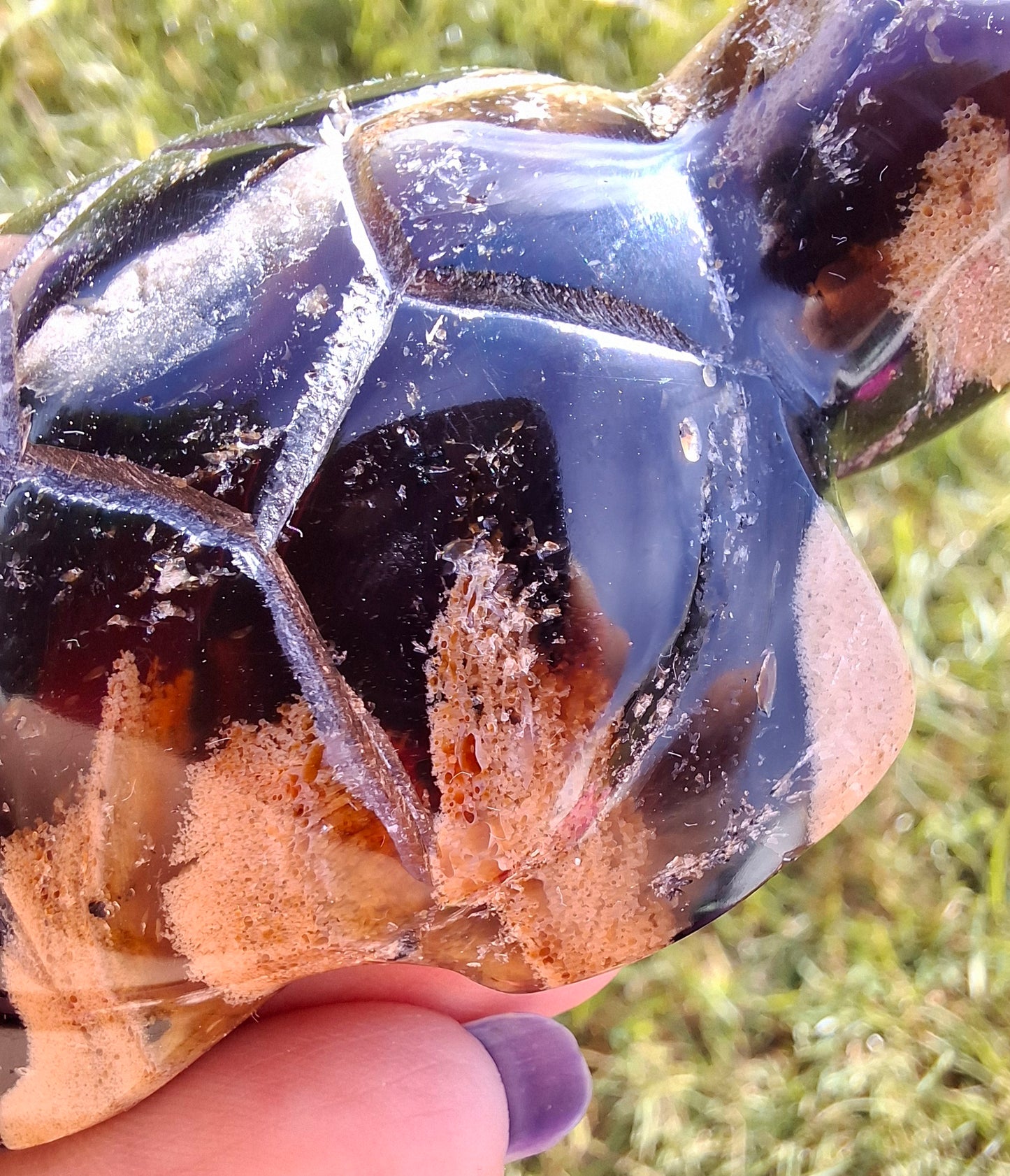 Red Amber Turtle, 50.00g, Carving, Fossil (Ref: TT6)