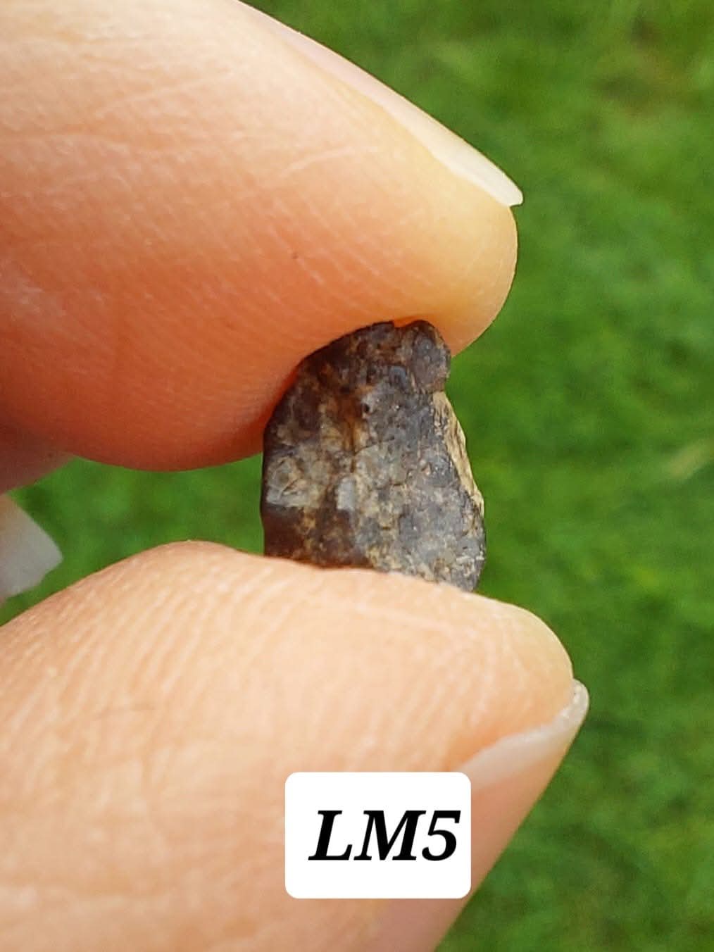 Lunar Meteorite, 0.32g, 'Moon Rock' (Ref: LM5)
