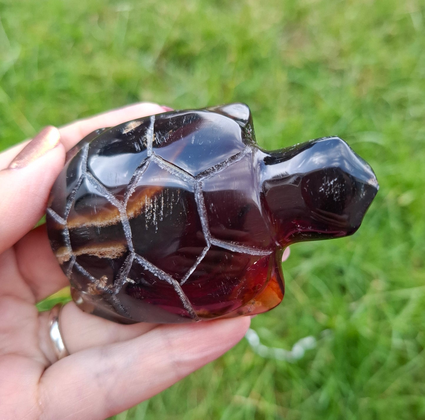 Red Amber Turtle, 52.00g, Carving, Fossil (Ref: TT3)