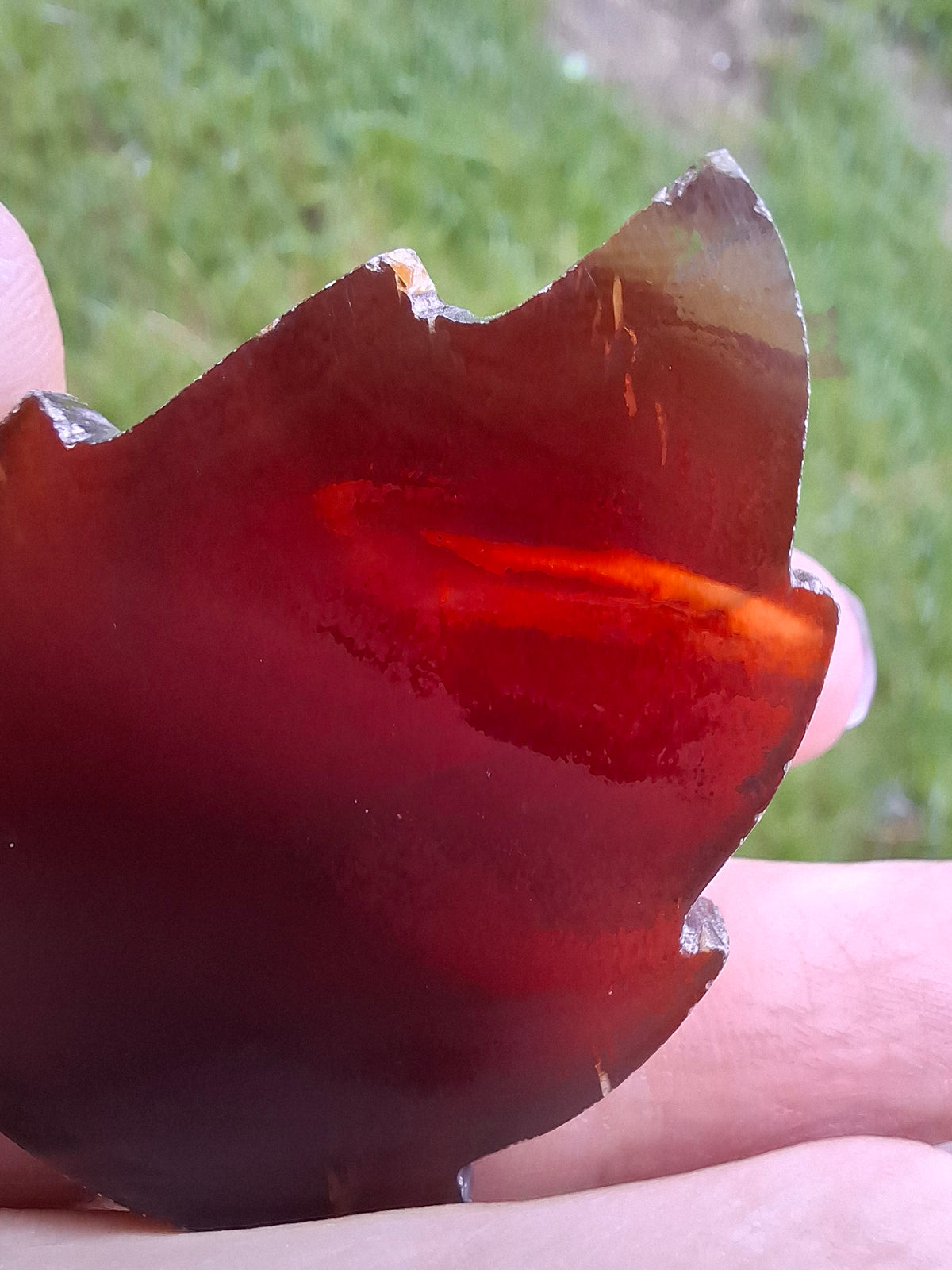 Red Amber Leaf Carving, 8.45g, Fossil (Ref: Leaf1)