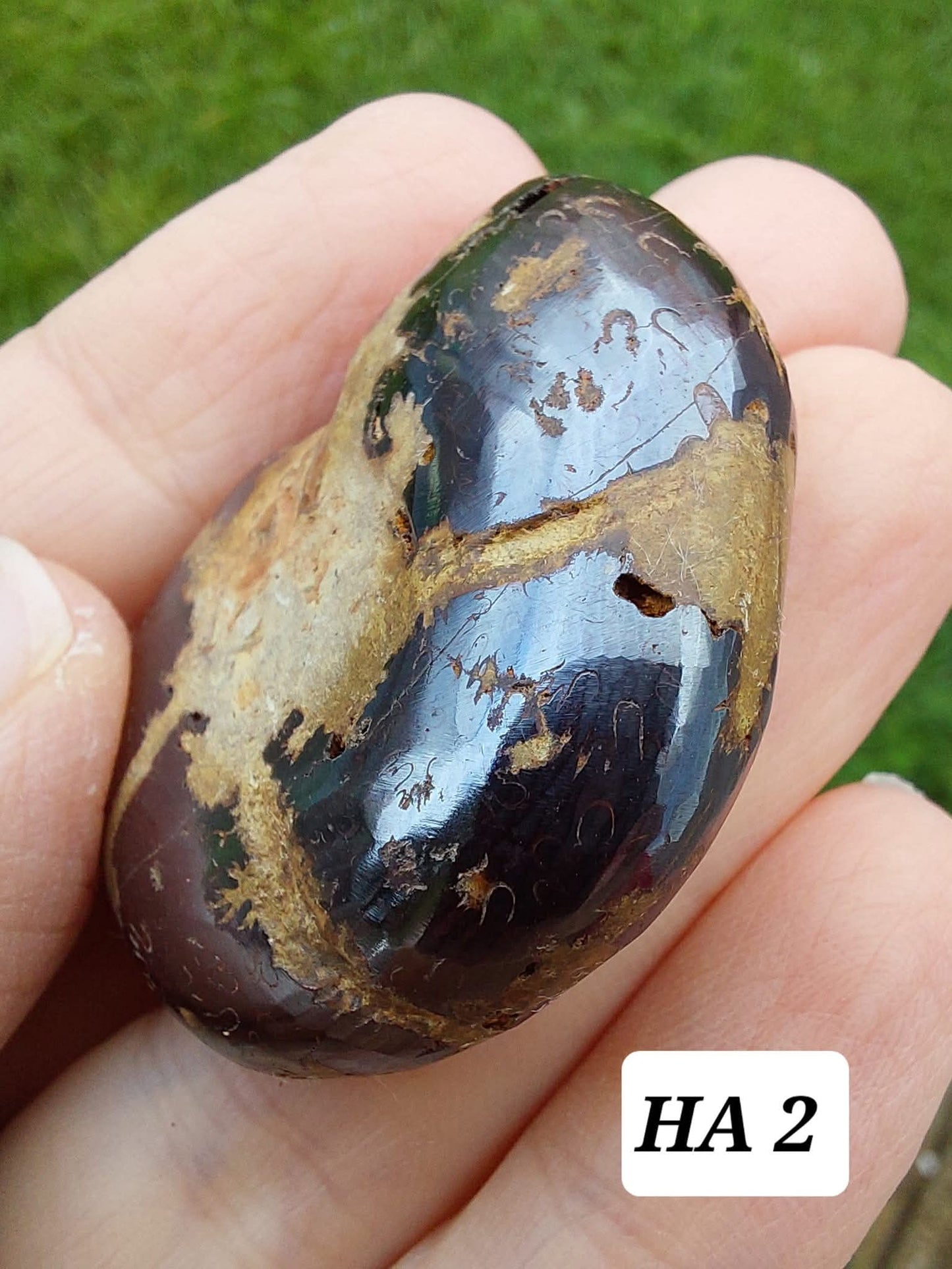 Hematite Ammonite, 22.72g, Fossil (Ref: HA2)