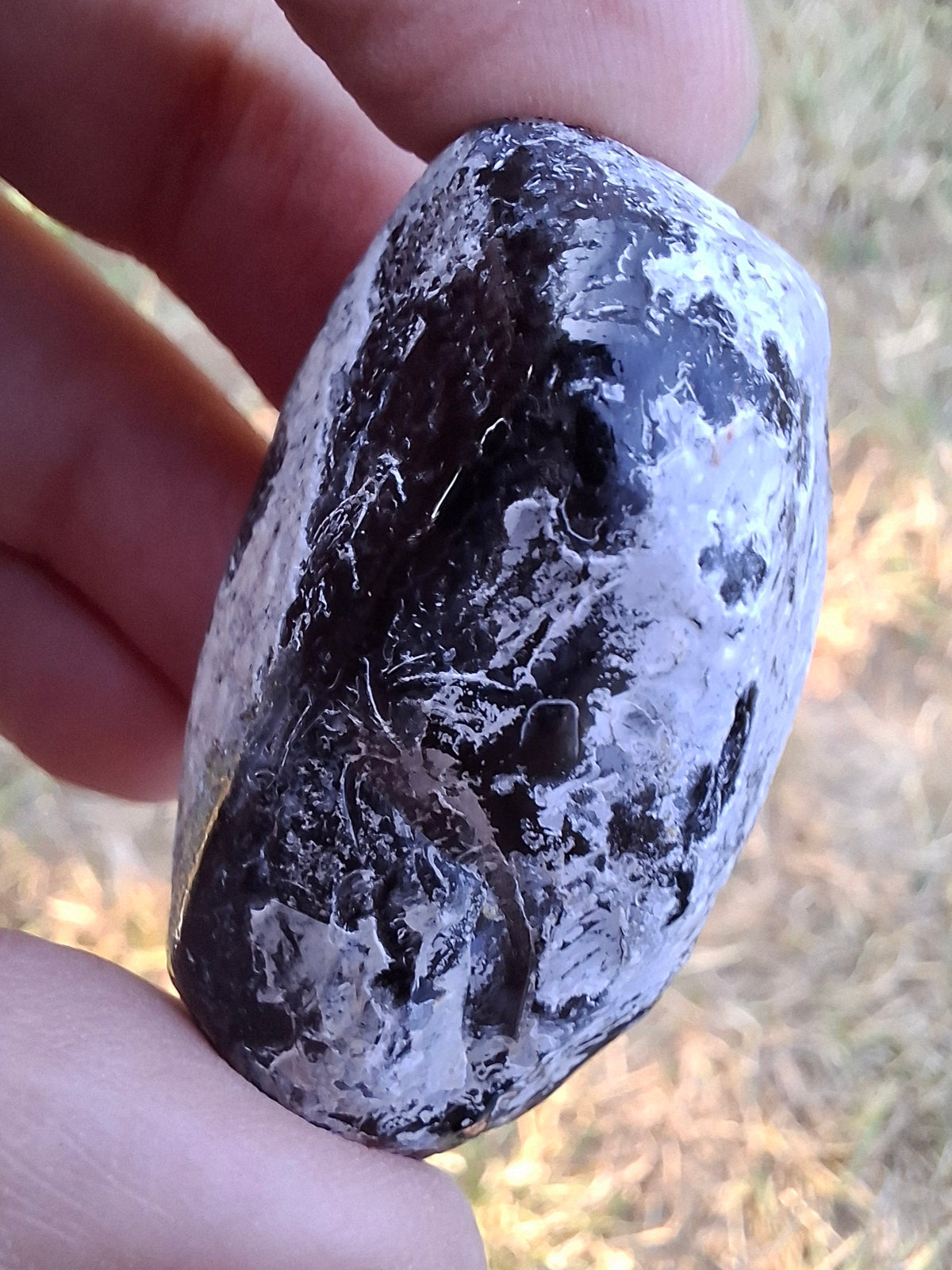 Apache Tear, Crystal (Ref: ApT2)