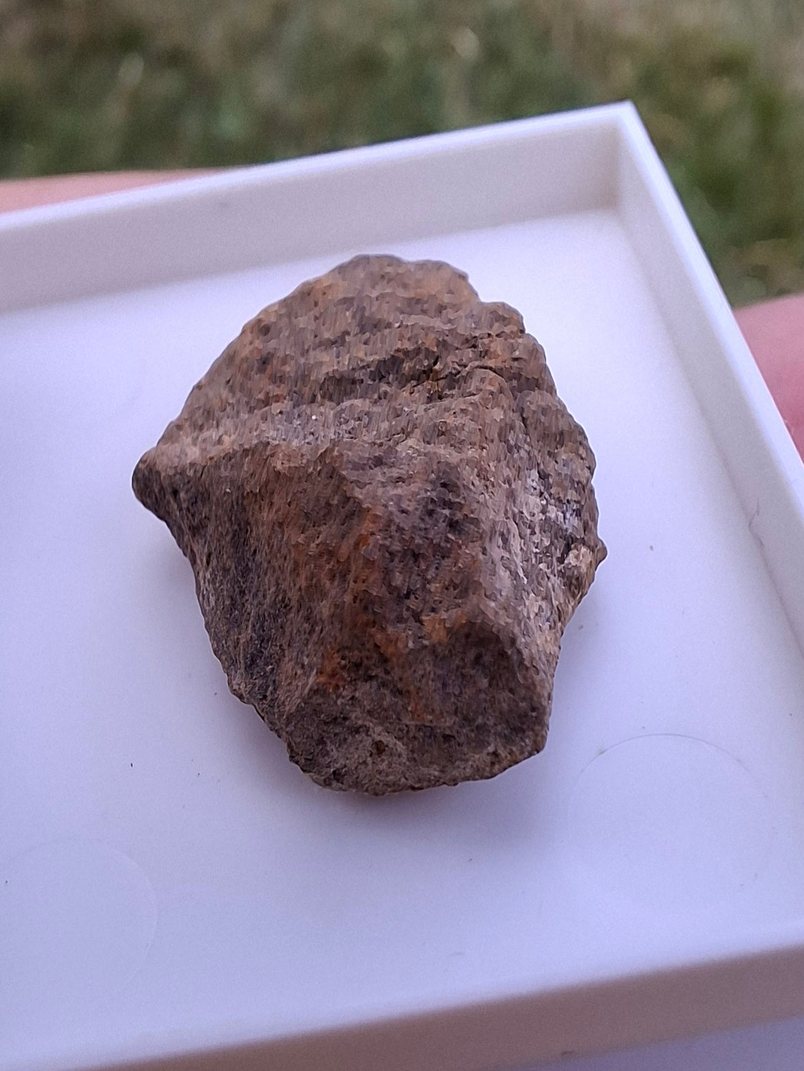 Chondrite, Meteorite (Ref: CM7)