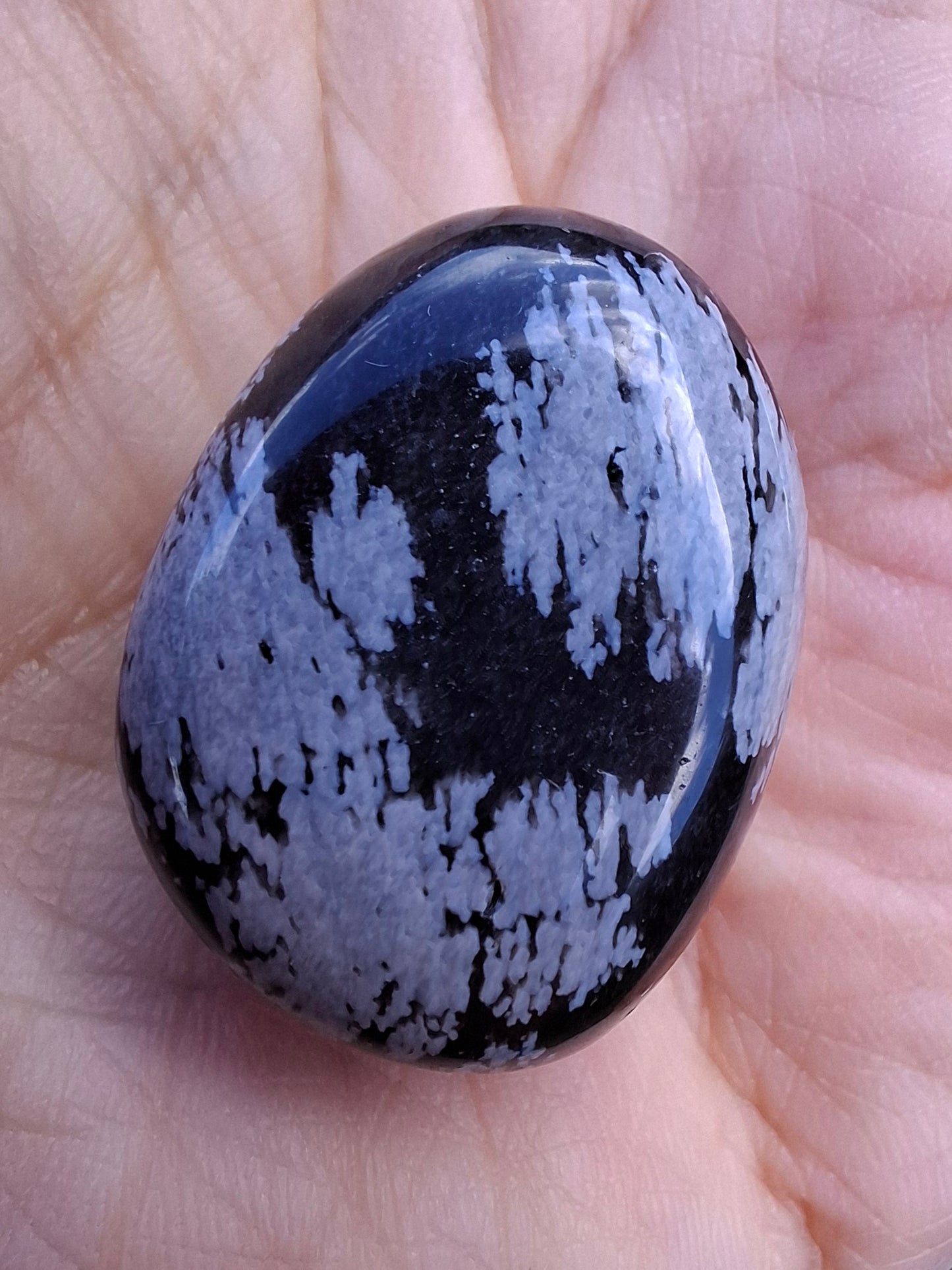 Snowflake Obsidian, Tumble Stone, Crystal (Ref: T98)