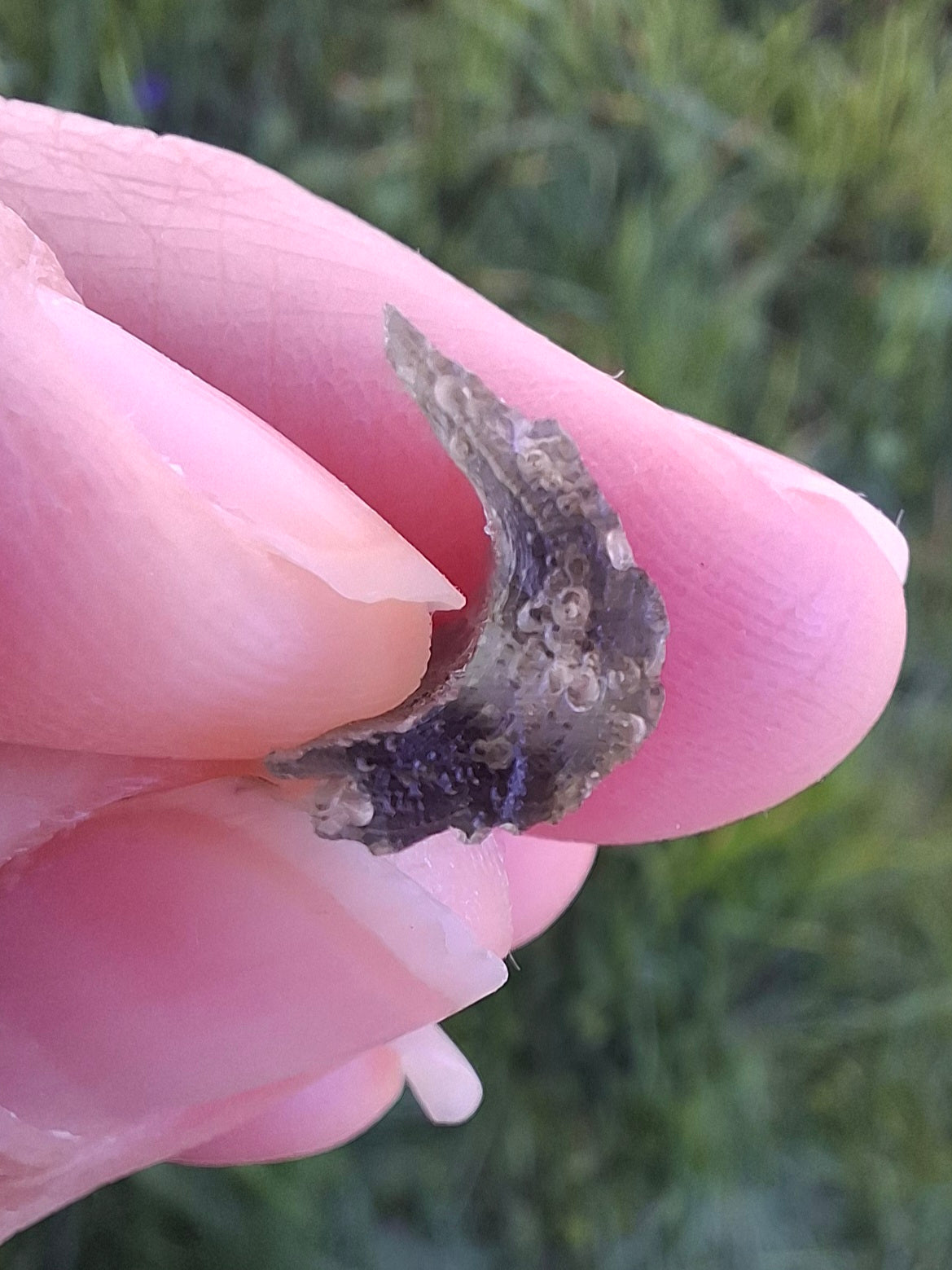 DRILLED, Moldavite Piece, 0.74g, Tektite (Ref: D13)