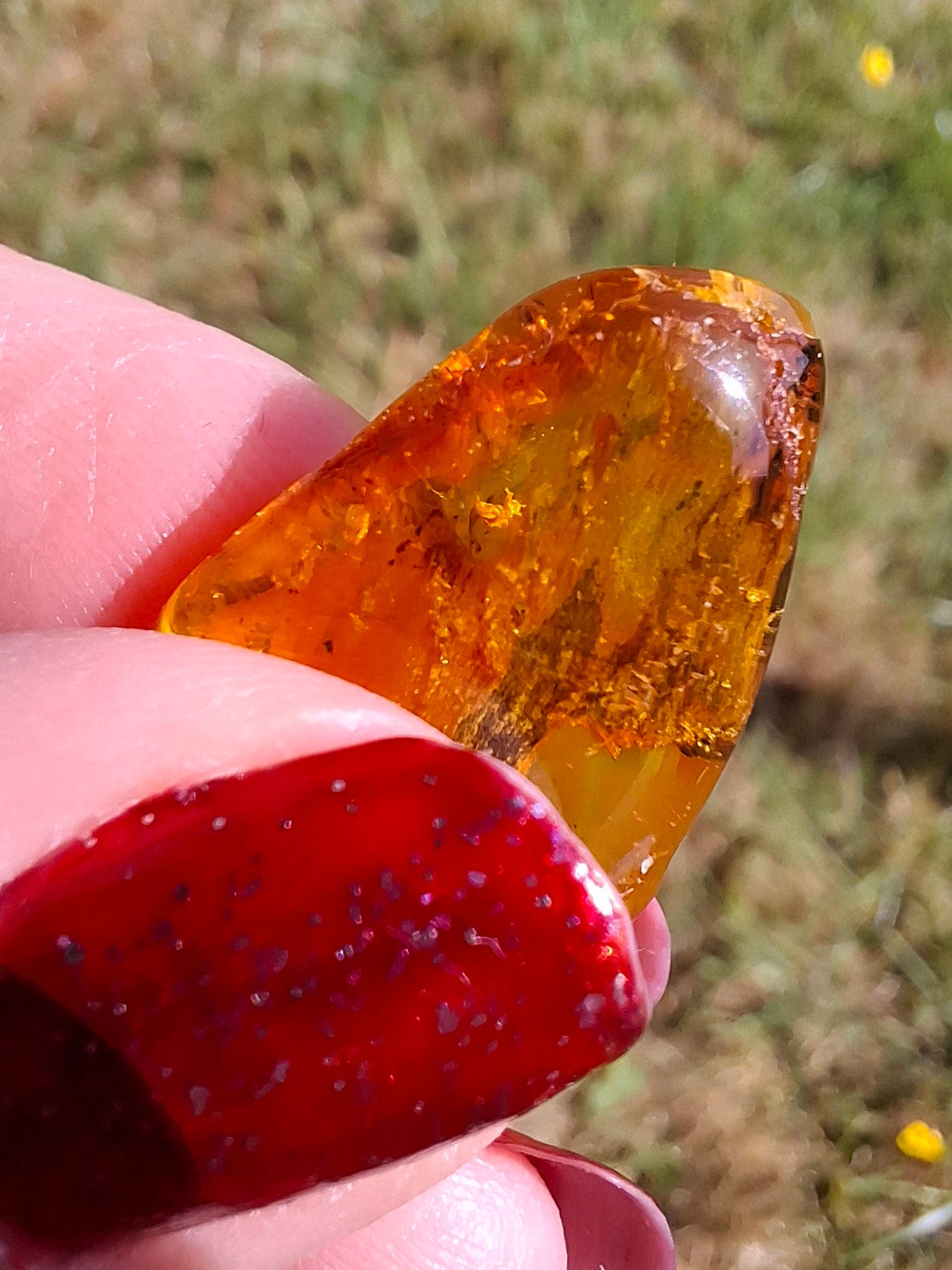 Baltic Amber, 1.61g, Fossil (Ref: A186)
