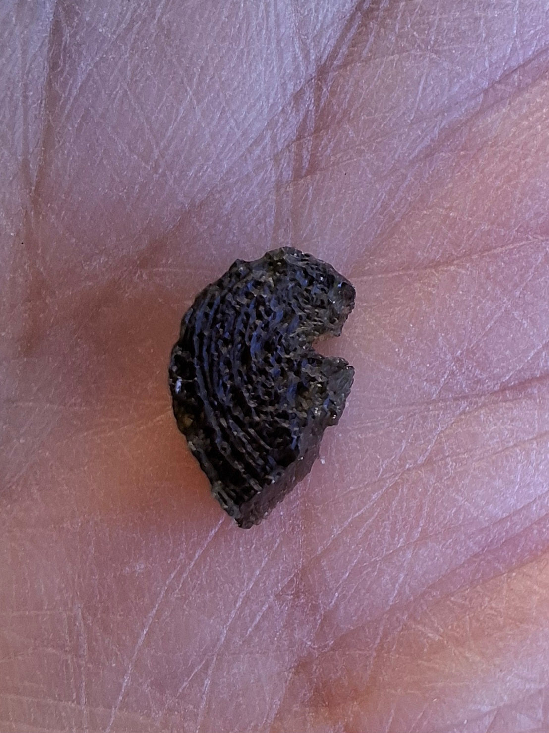 Moldavite Piece, 0.60g, Tektite (Ref: 1408)
