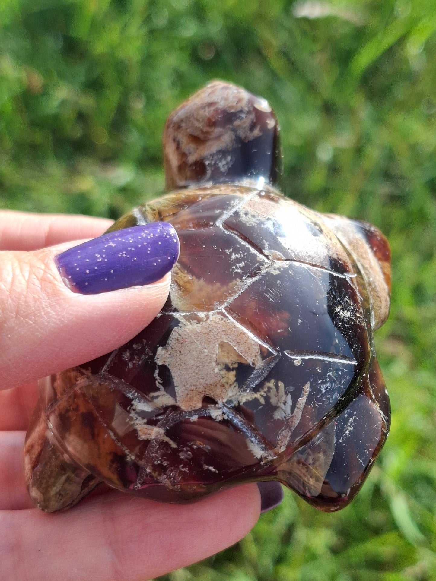 Red Amber Turtle, 56.87g, Carving, Fossil (Ref:TT7)