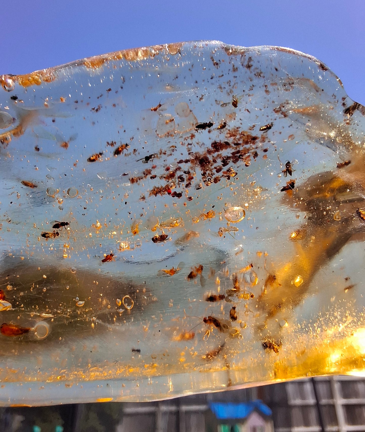 Copal Young Amber with INSECTS inside, 28.43g, Fossil (Ref: CA10)