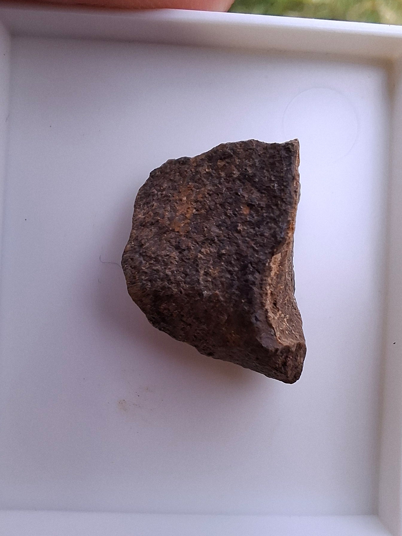 Chondrite, Meteorite (Ref: CM8)