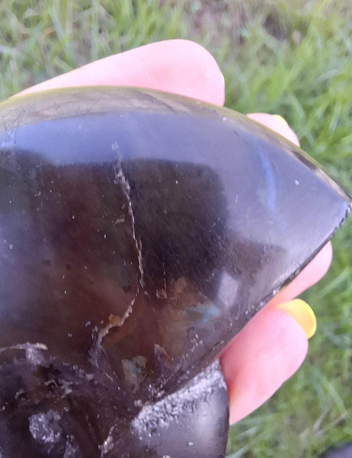 Labradorite Ammonite Carving, 160.21g, Crystal (Ref: laba4)