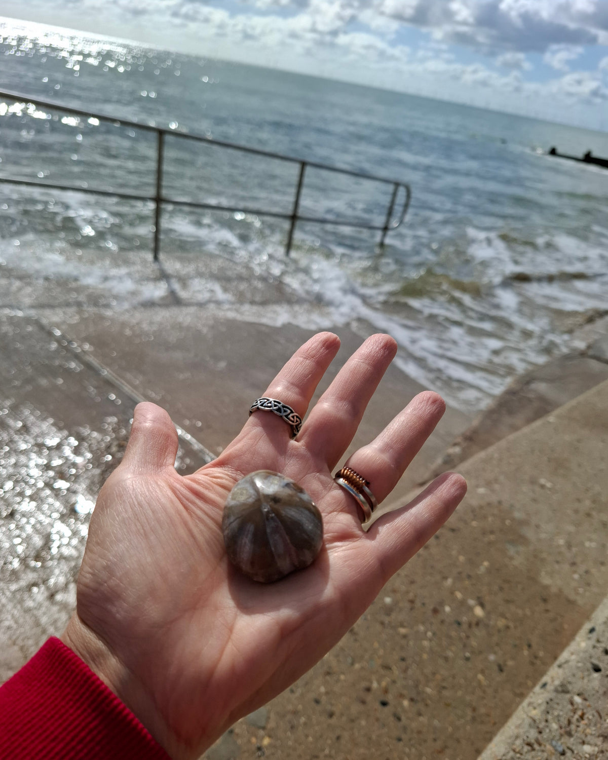Polished Sea Urchin, Fossil (Ref: SU2)