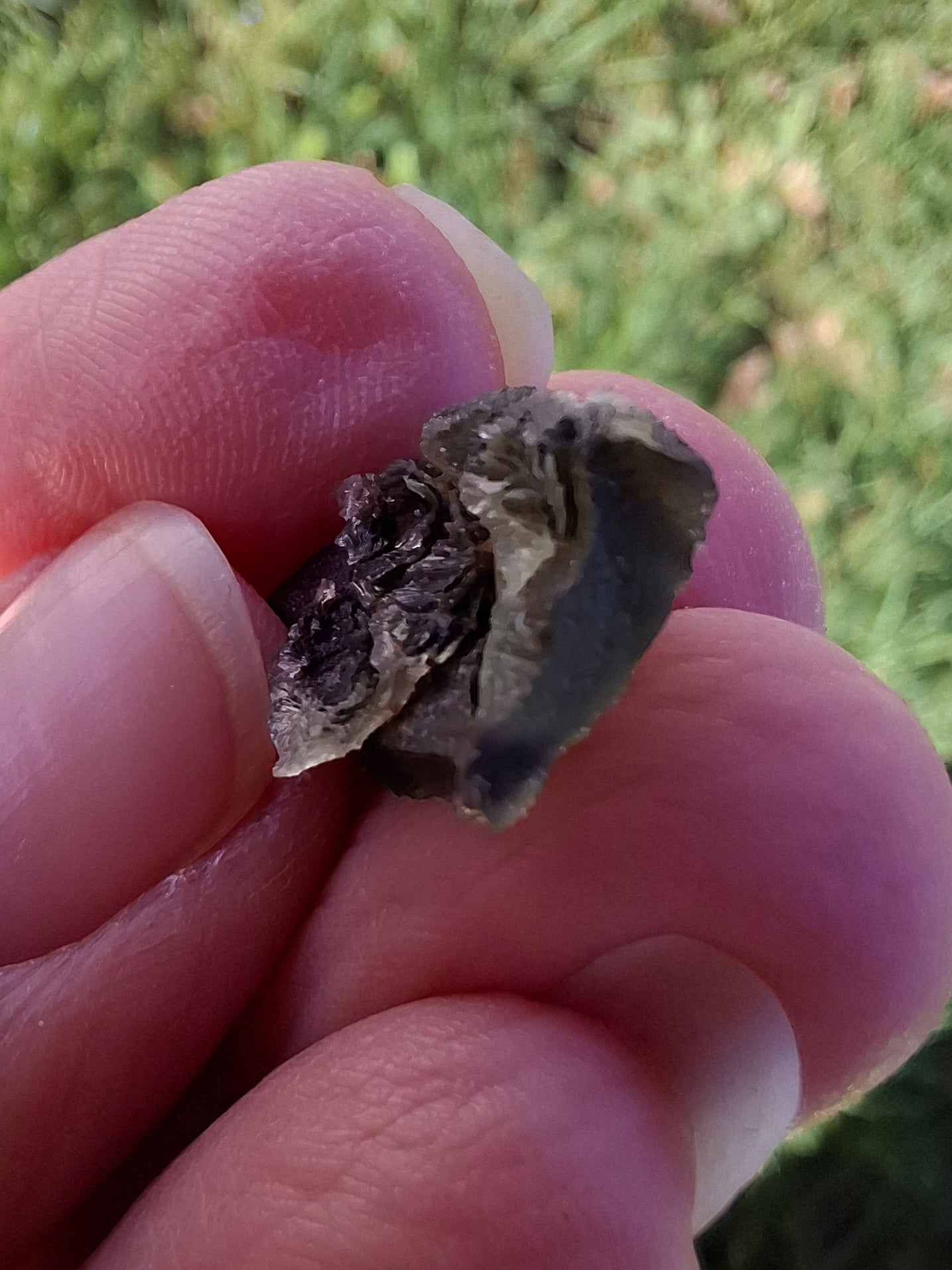 Moldavite Piece, 1.13g, Tektite (Ref: 1335)