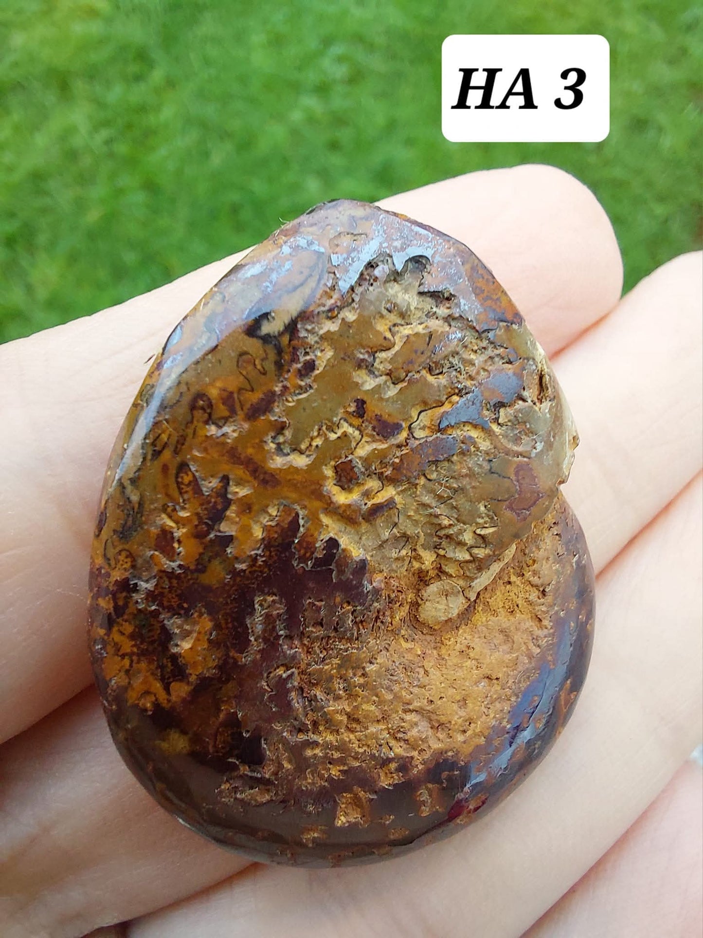 Hematite Ammonite, 16.00g, Fossil (Ref: HA3)